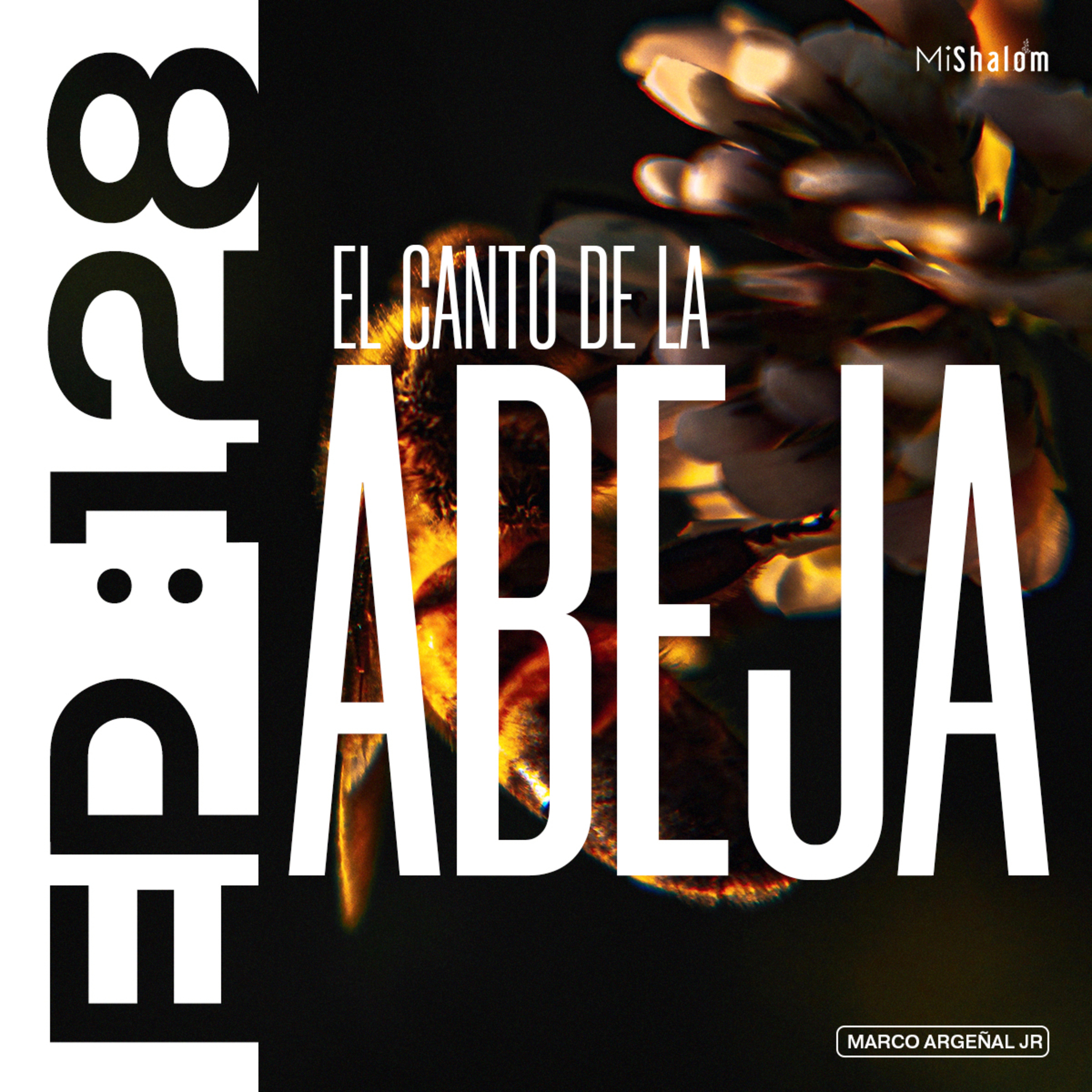 EP 128: El Canto de la Abeja - Marco Argeñal Jr. episode artwork