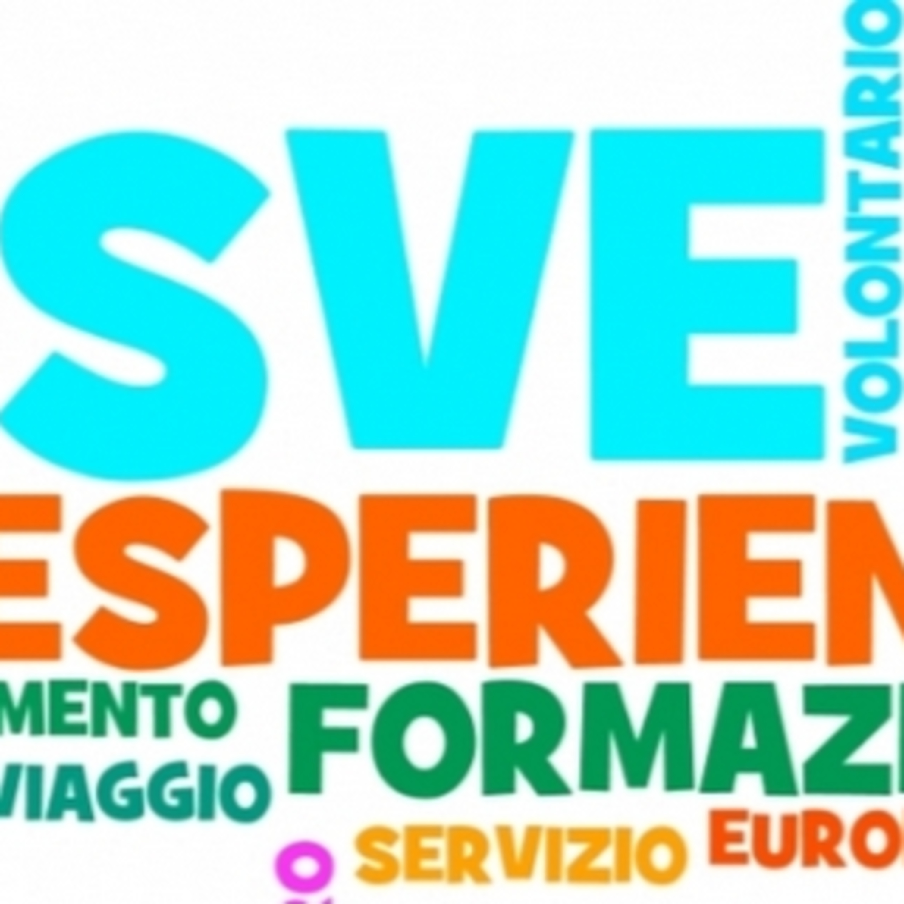 SVE - Servizio Volontario Europeo.