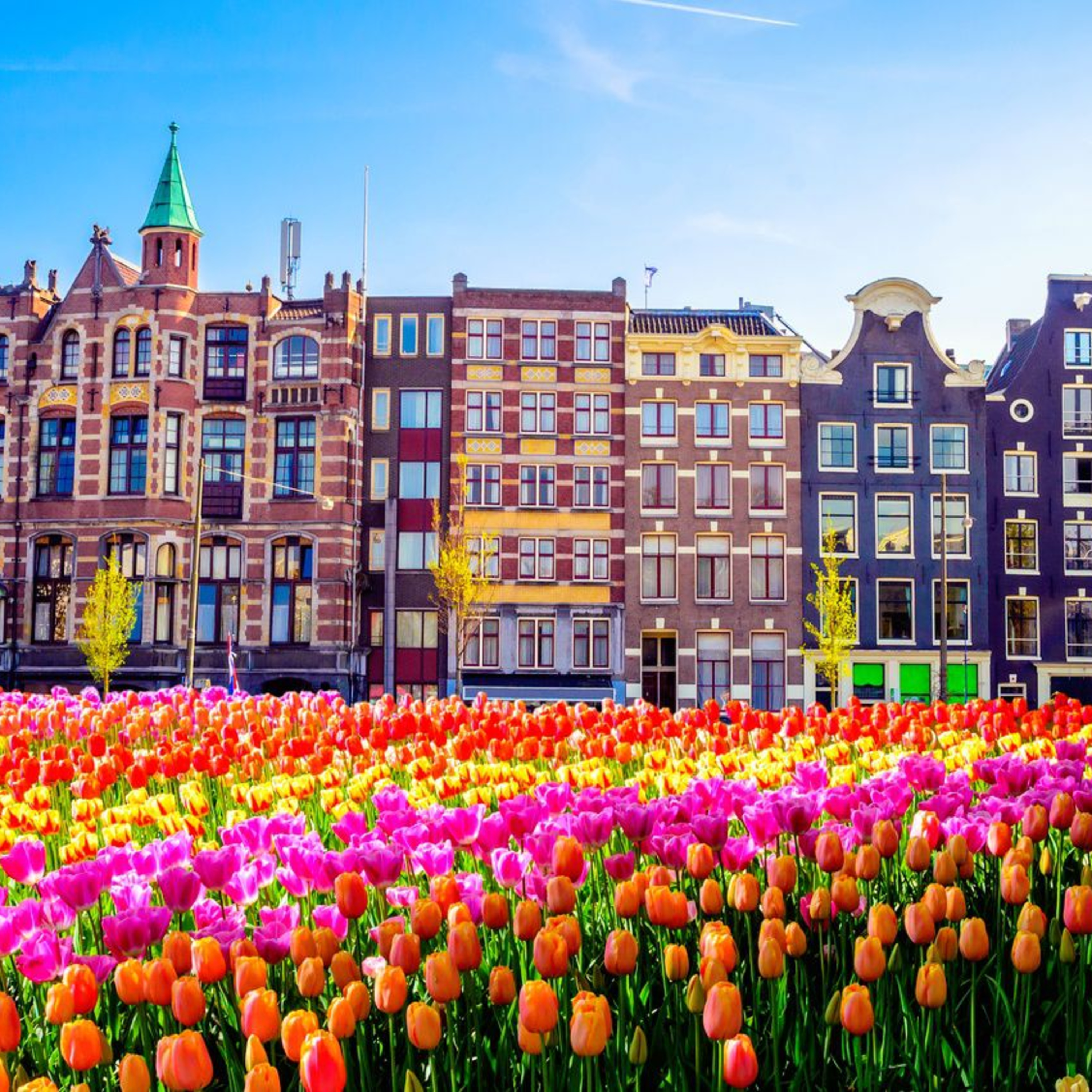 Viaggiare con la mente // Pt. 2 - AMSTERDAM episode artwork