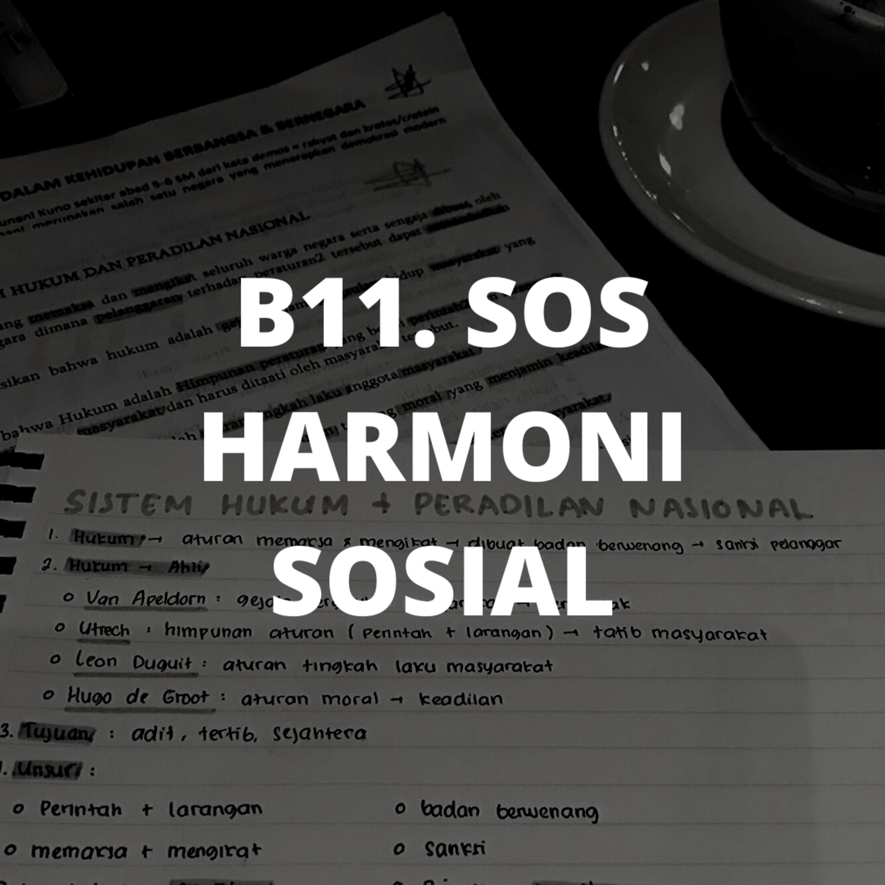B11. SOS - HARMONI SOSIAL episode artwork