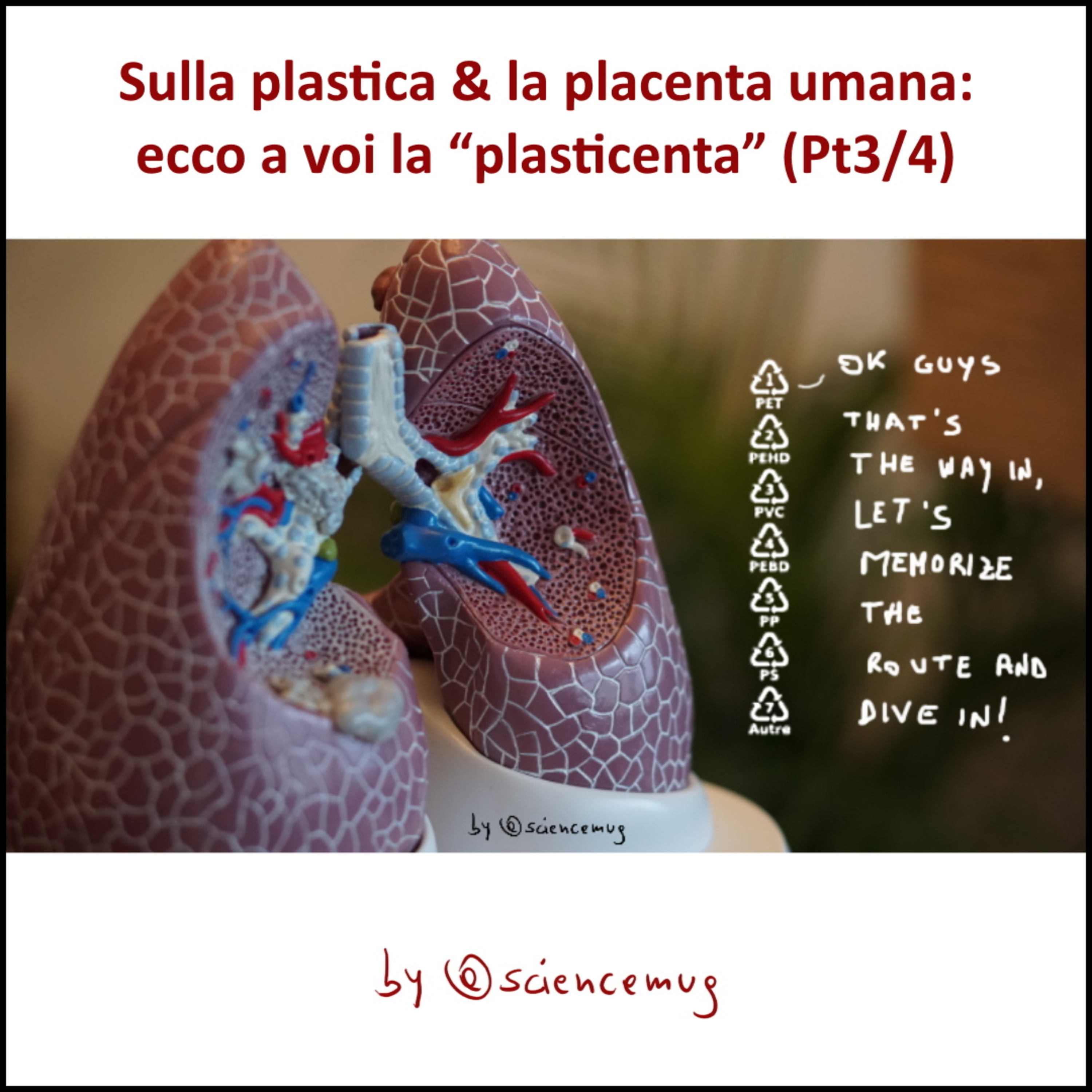 @sciencemug ITALIA