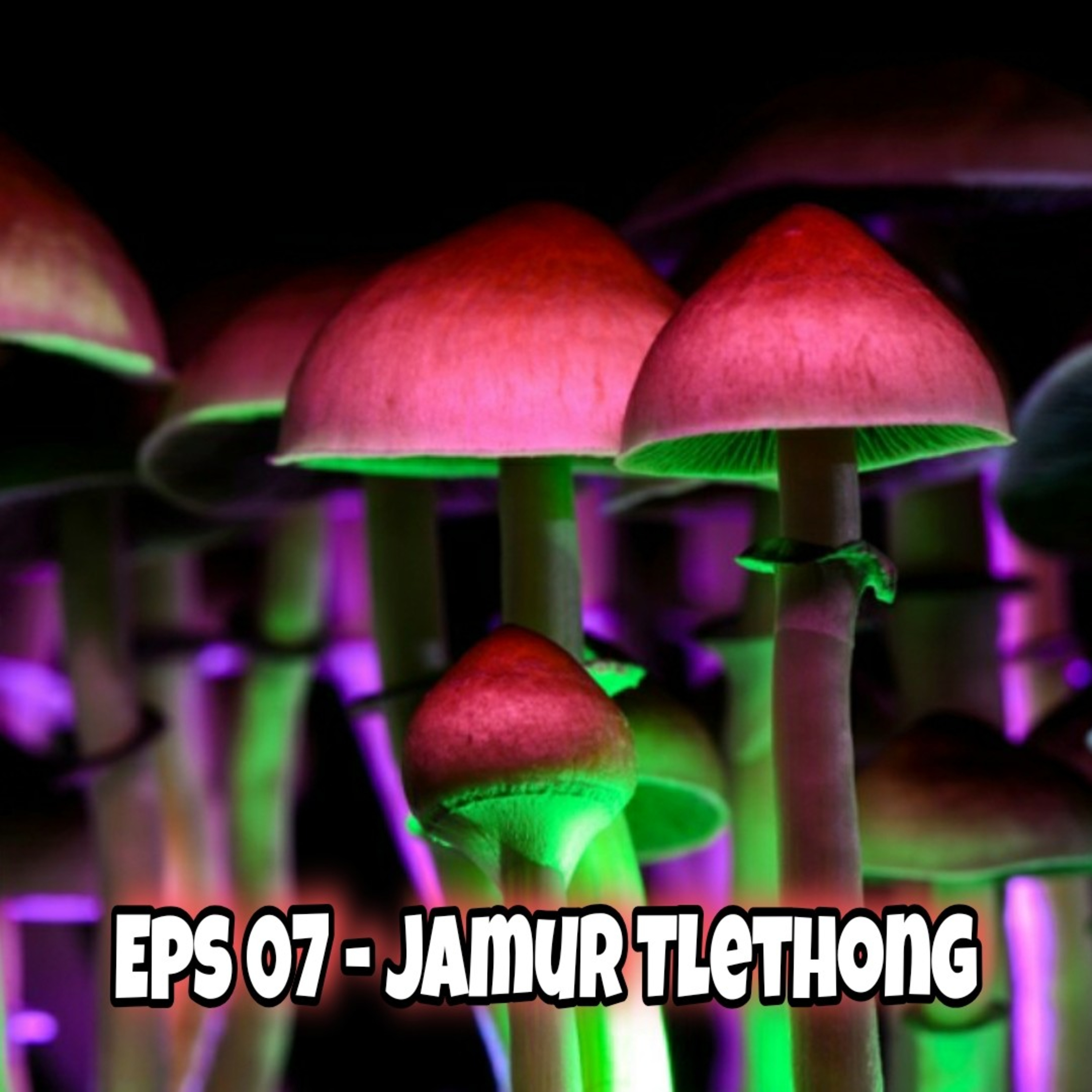 Eps 07 - Magic Mushroom Alias Jamur Tlethong episode artwork