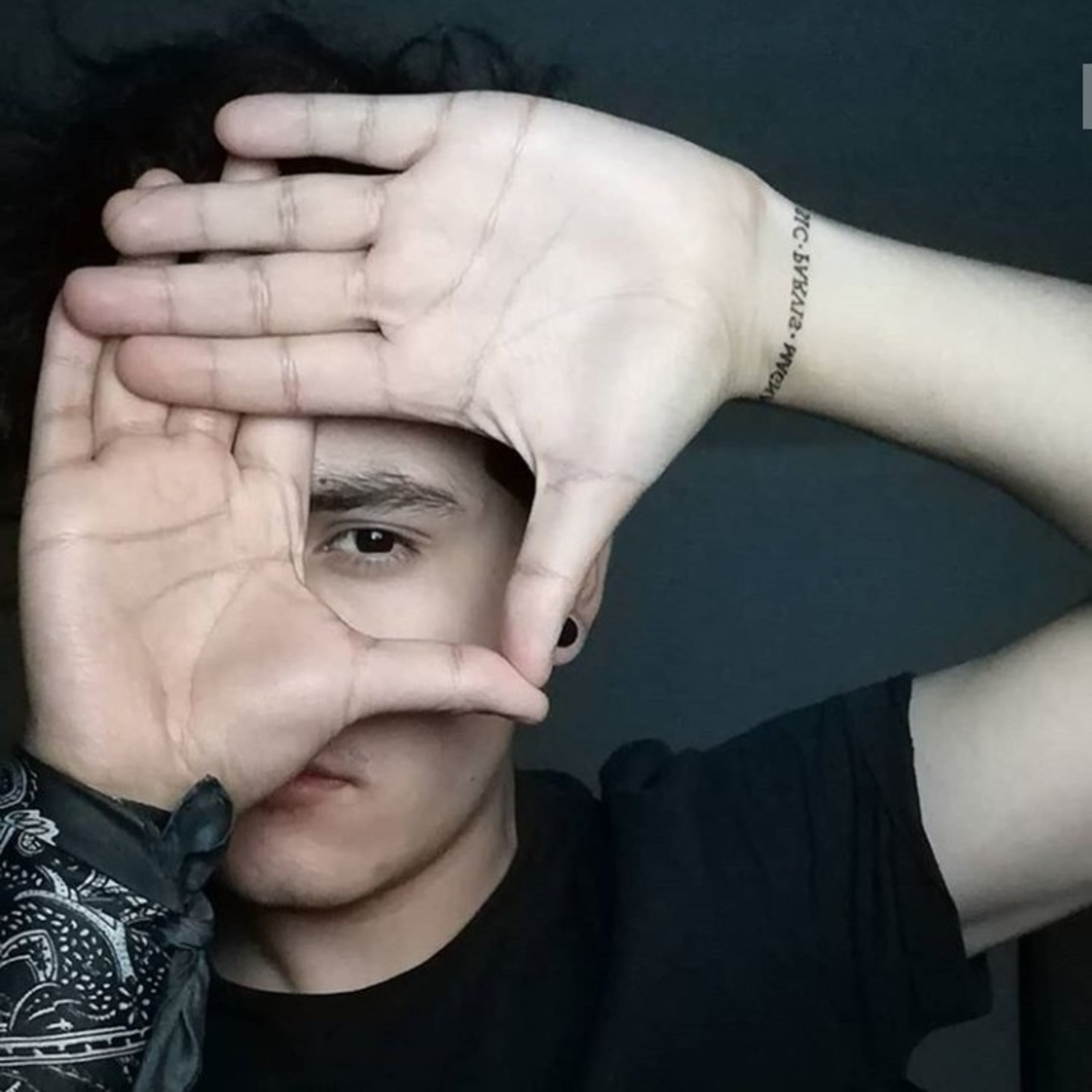 ntrCompasAlv