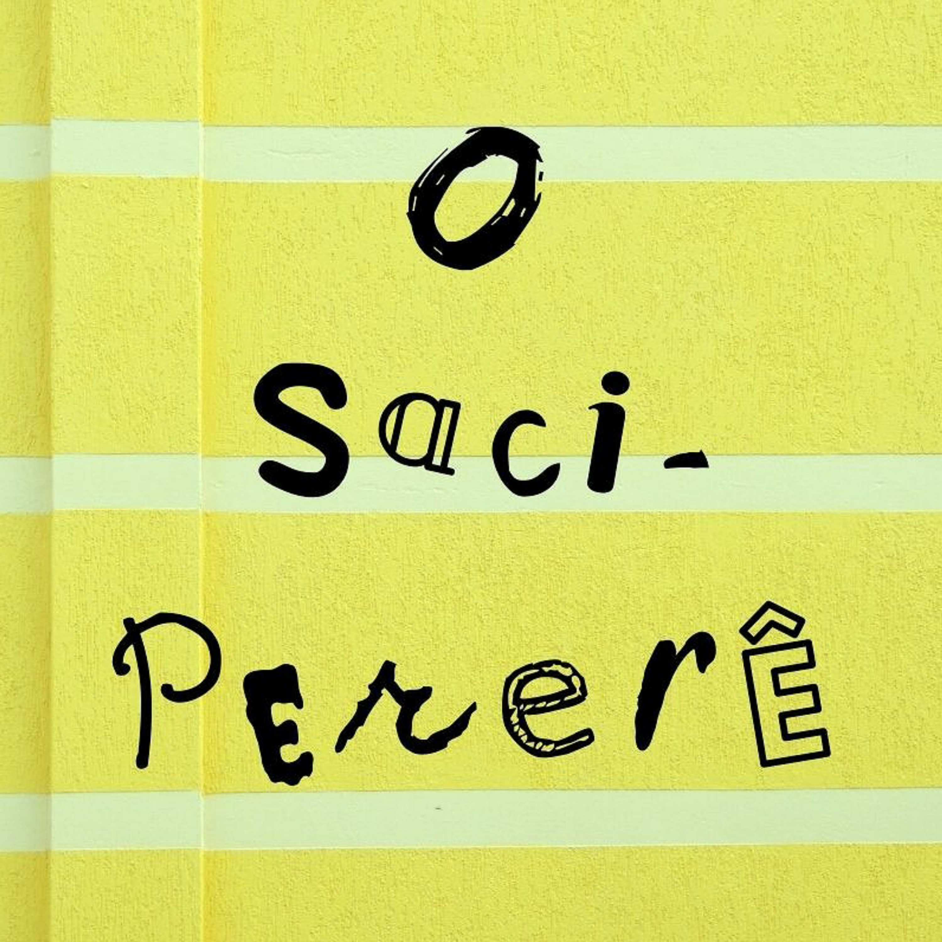O livro que disse