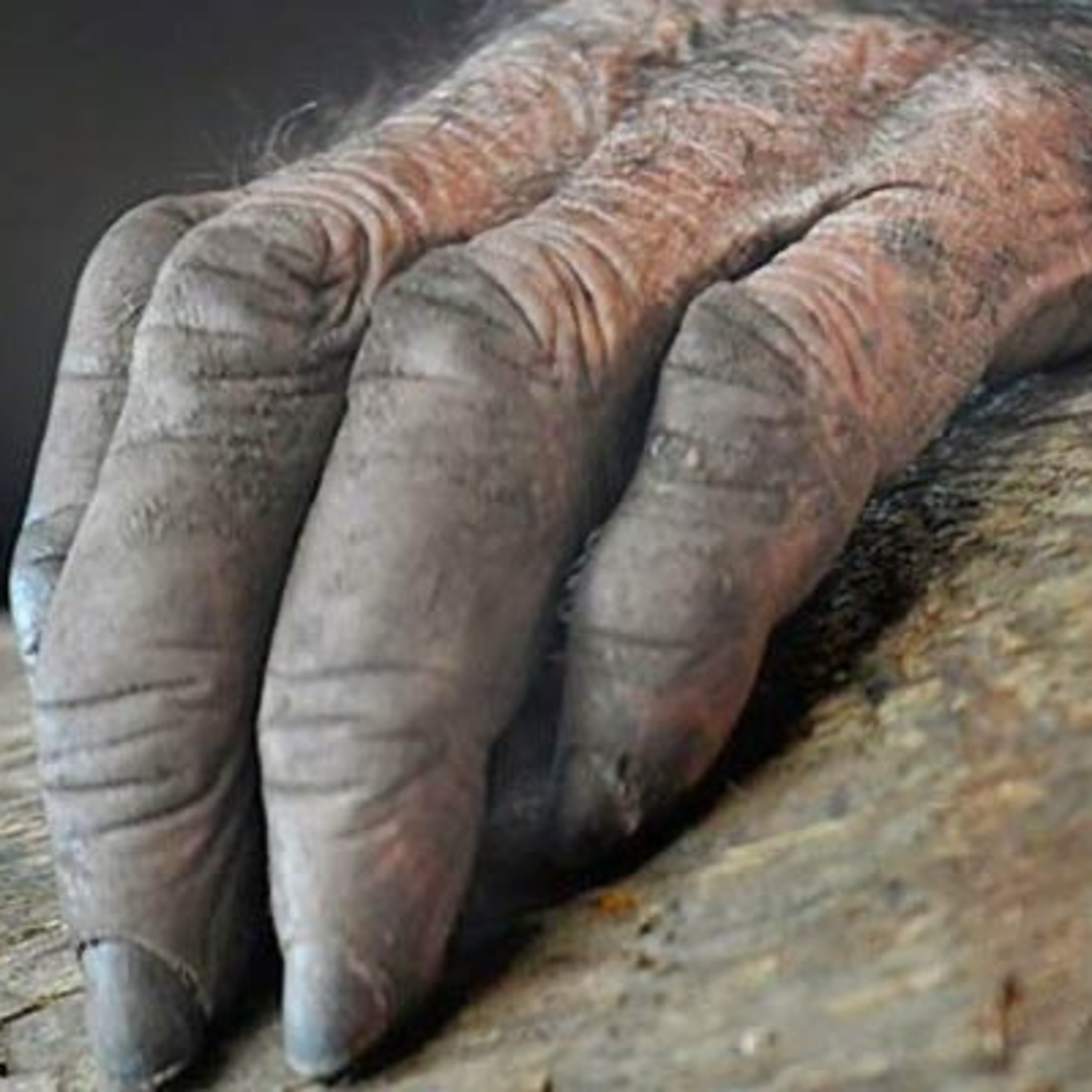 HISTORIAS DE TERROR CON MIZUNO ATENA