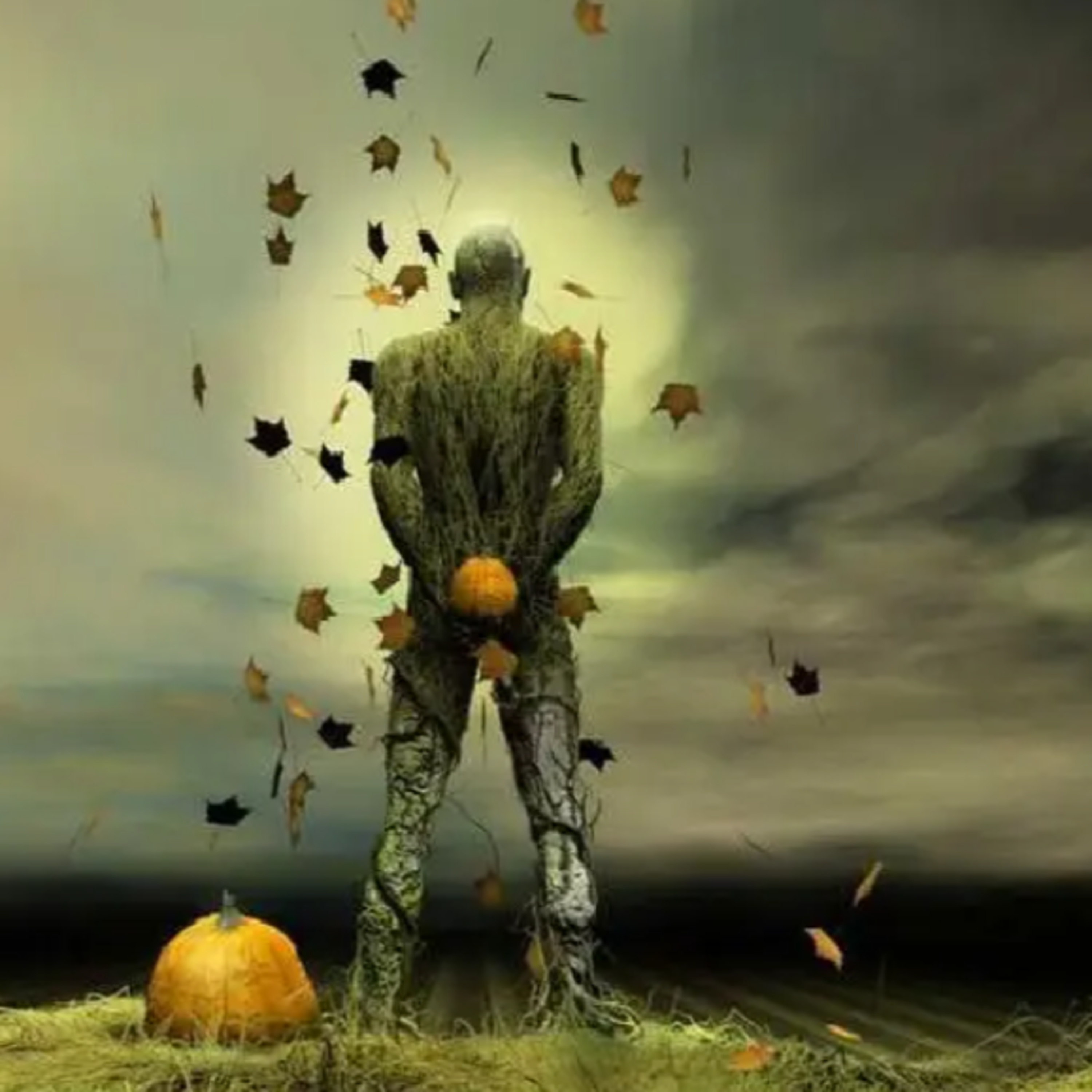 Déjame ser episode artwork