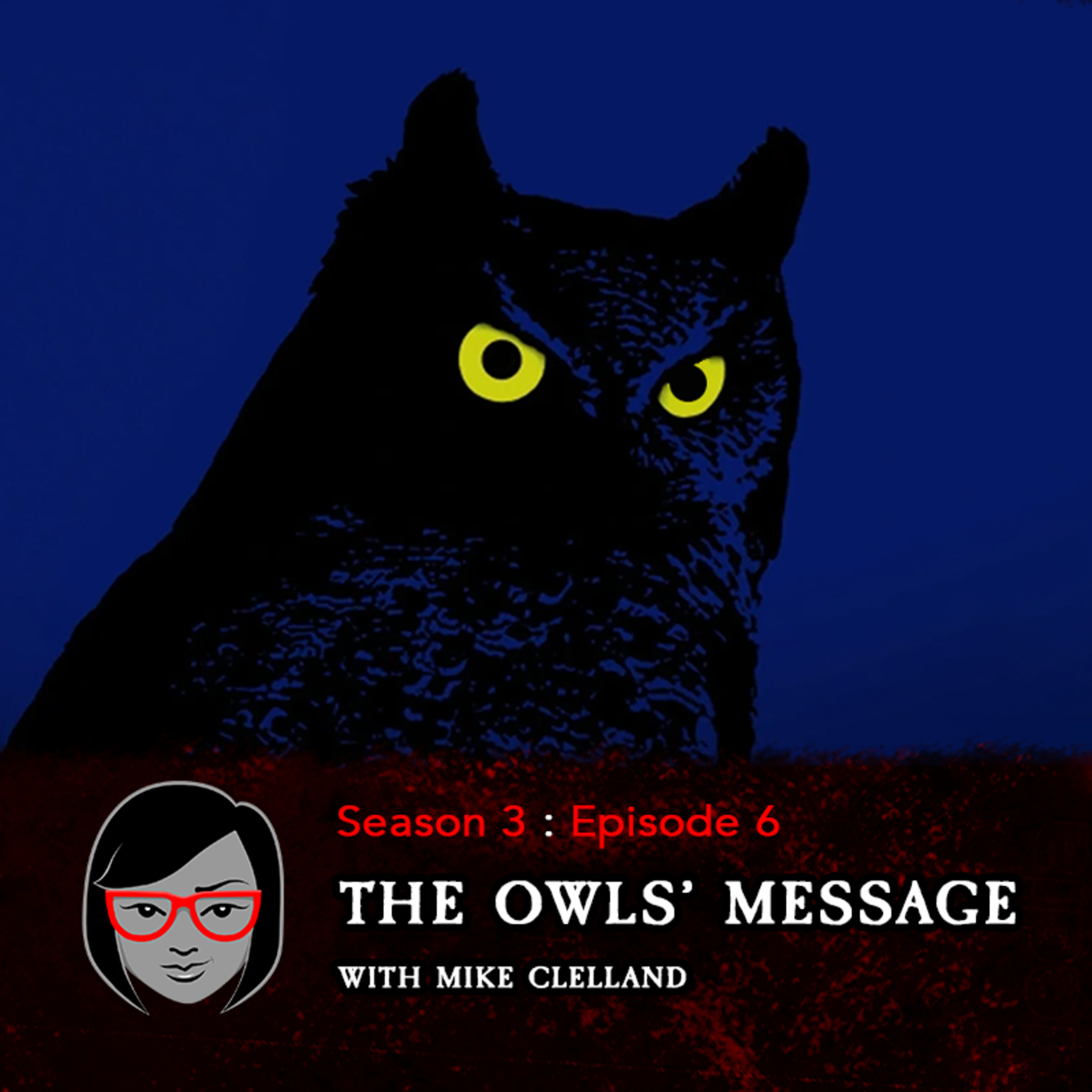 The Owls' Message (with Mike Clelland)
