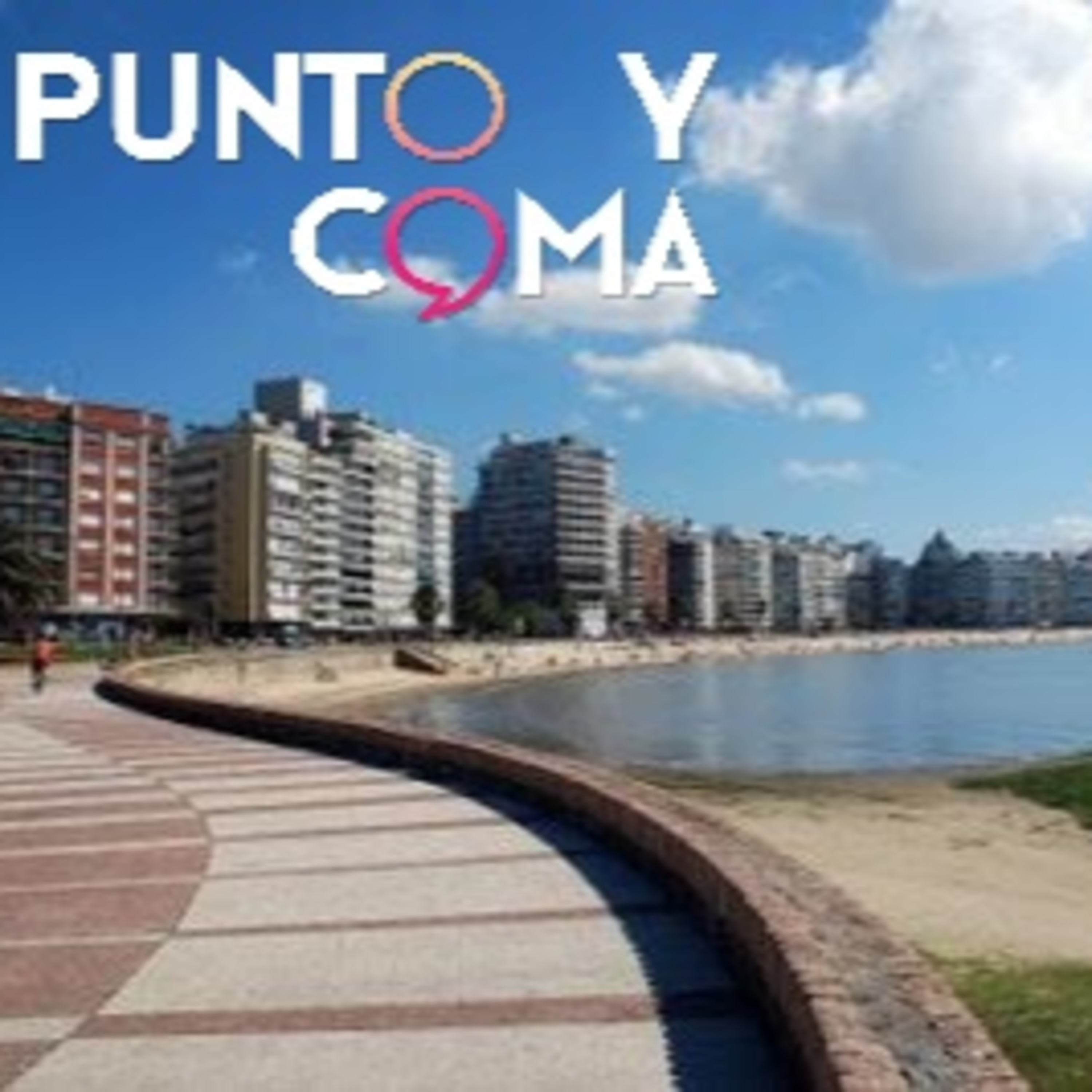 Punto y Coma