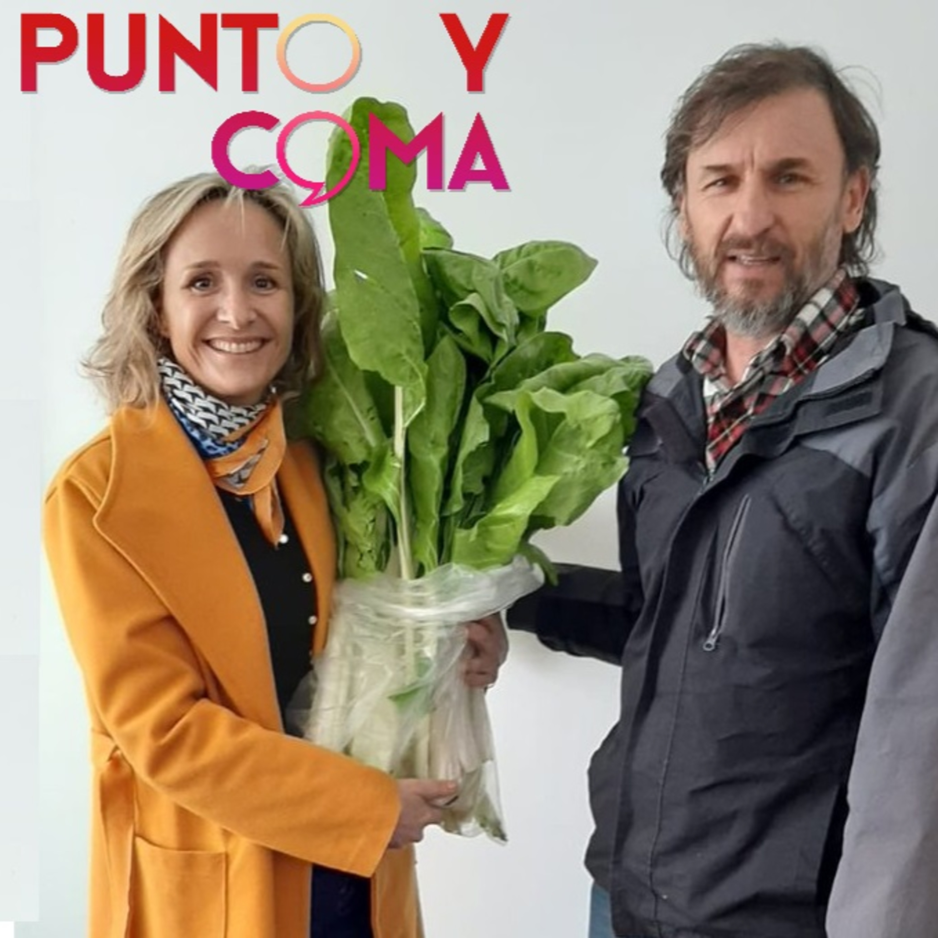 Punto y Coma
