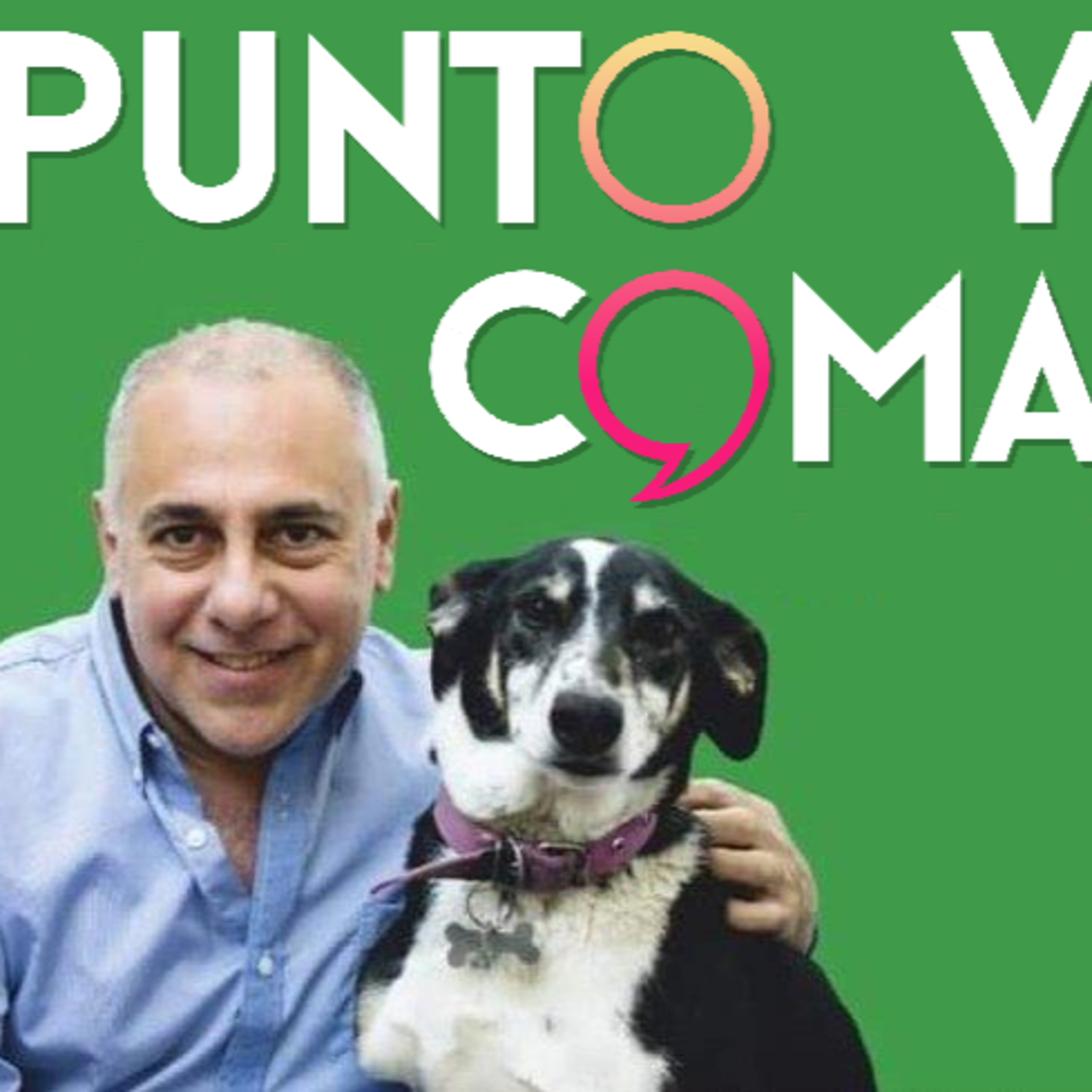 Punto y Coma