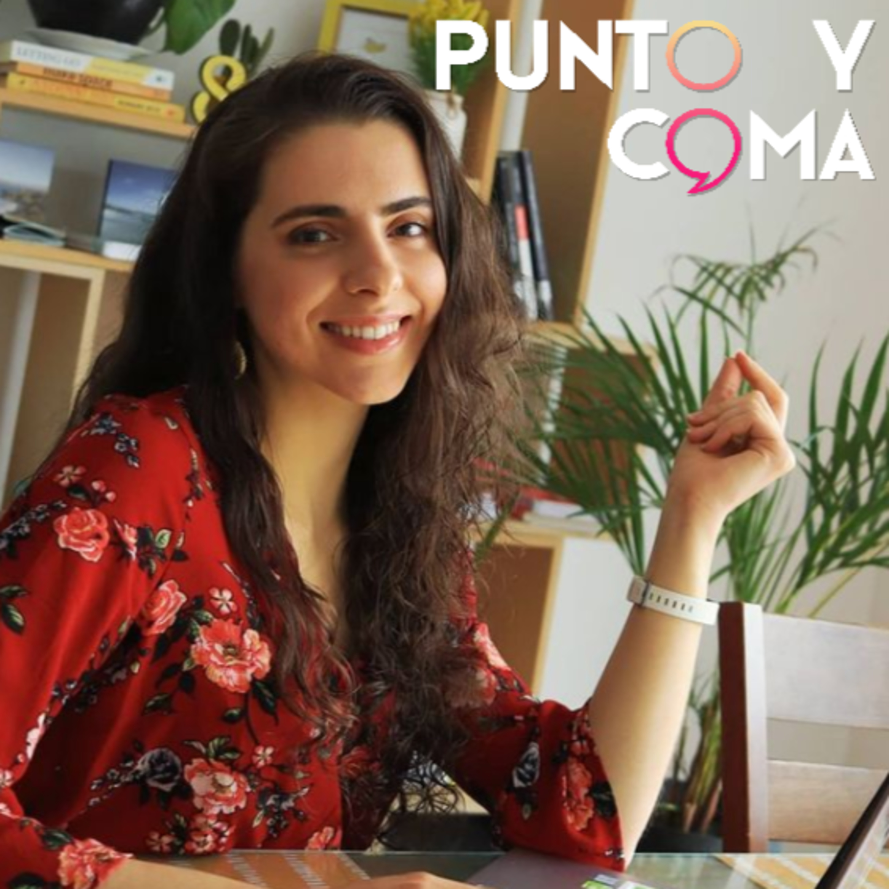 Punto y Coma