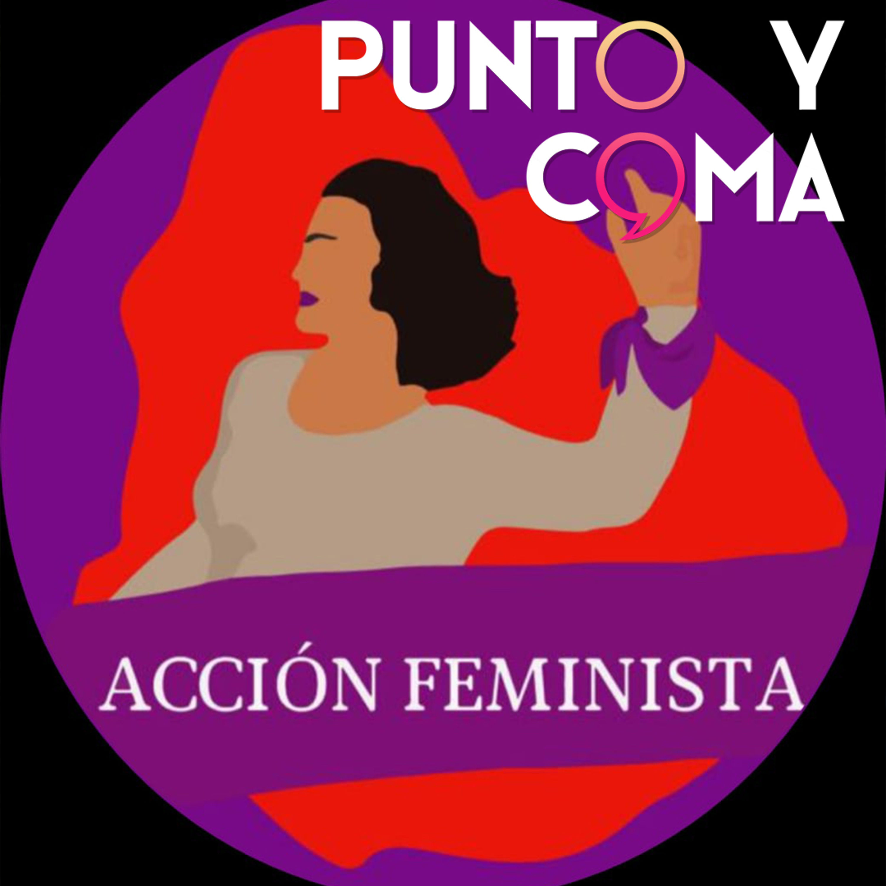 Punto y Coma