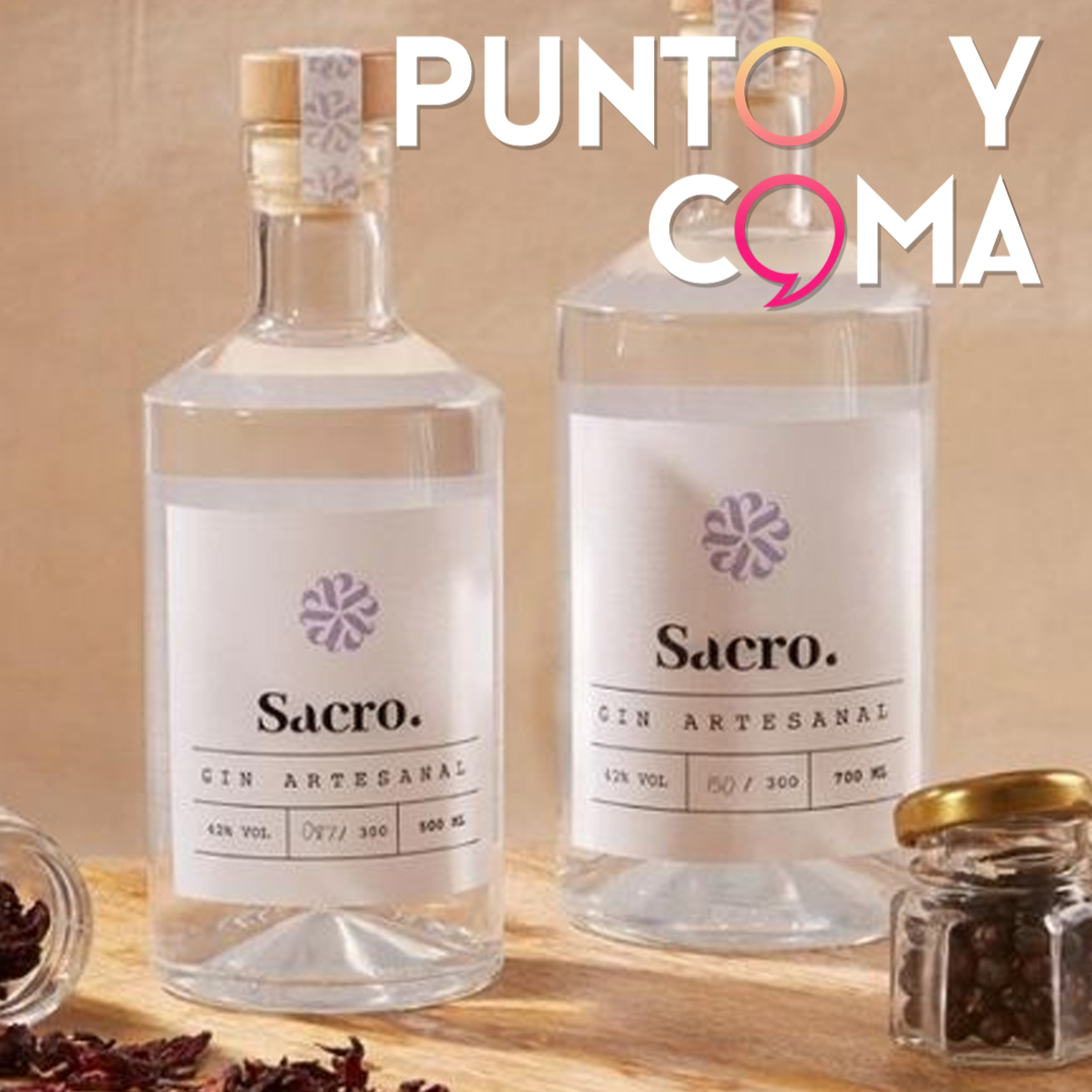 Punto y Coma