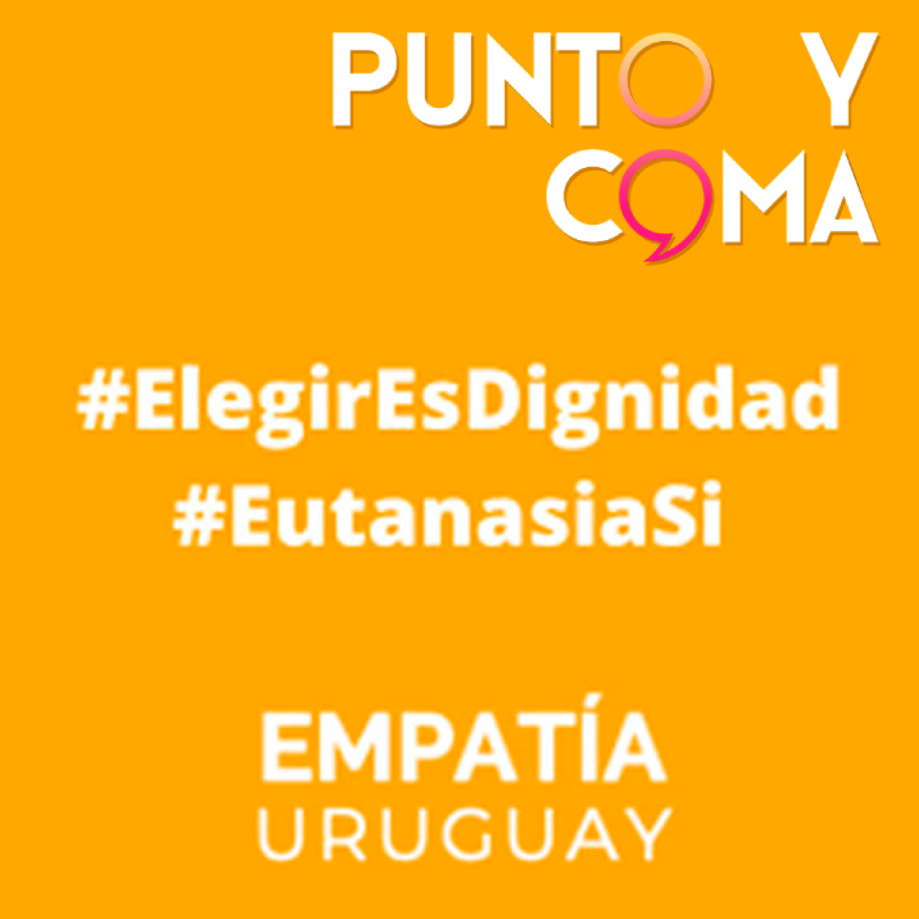 Punto y Coma