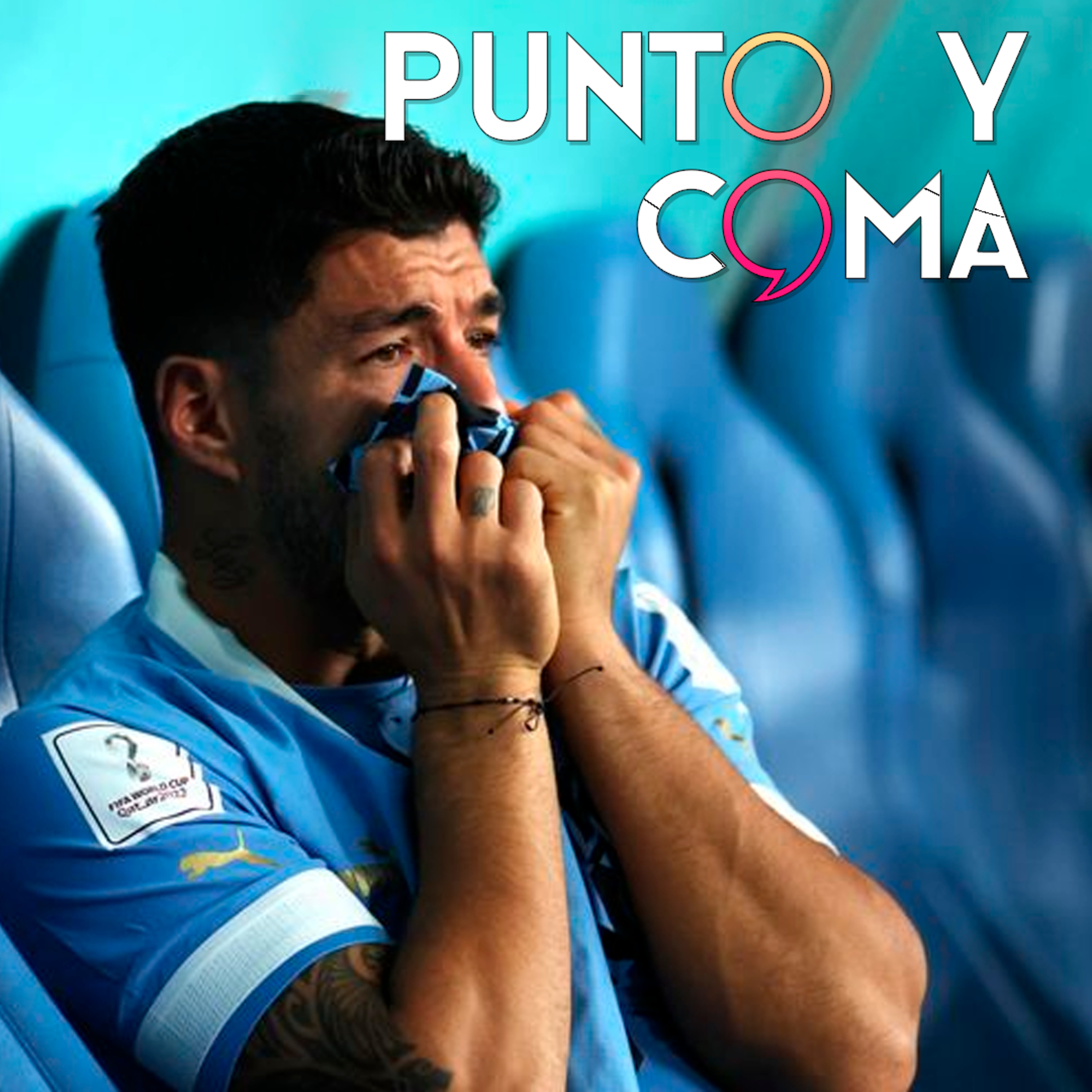 Punto y Coma