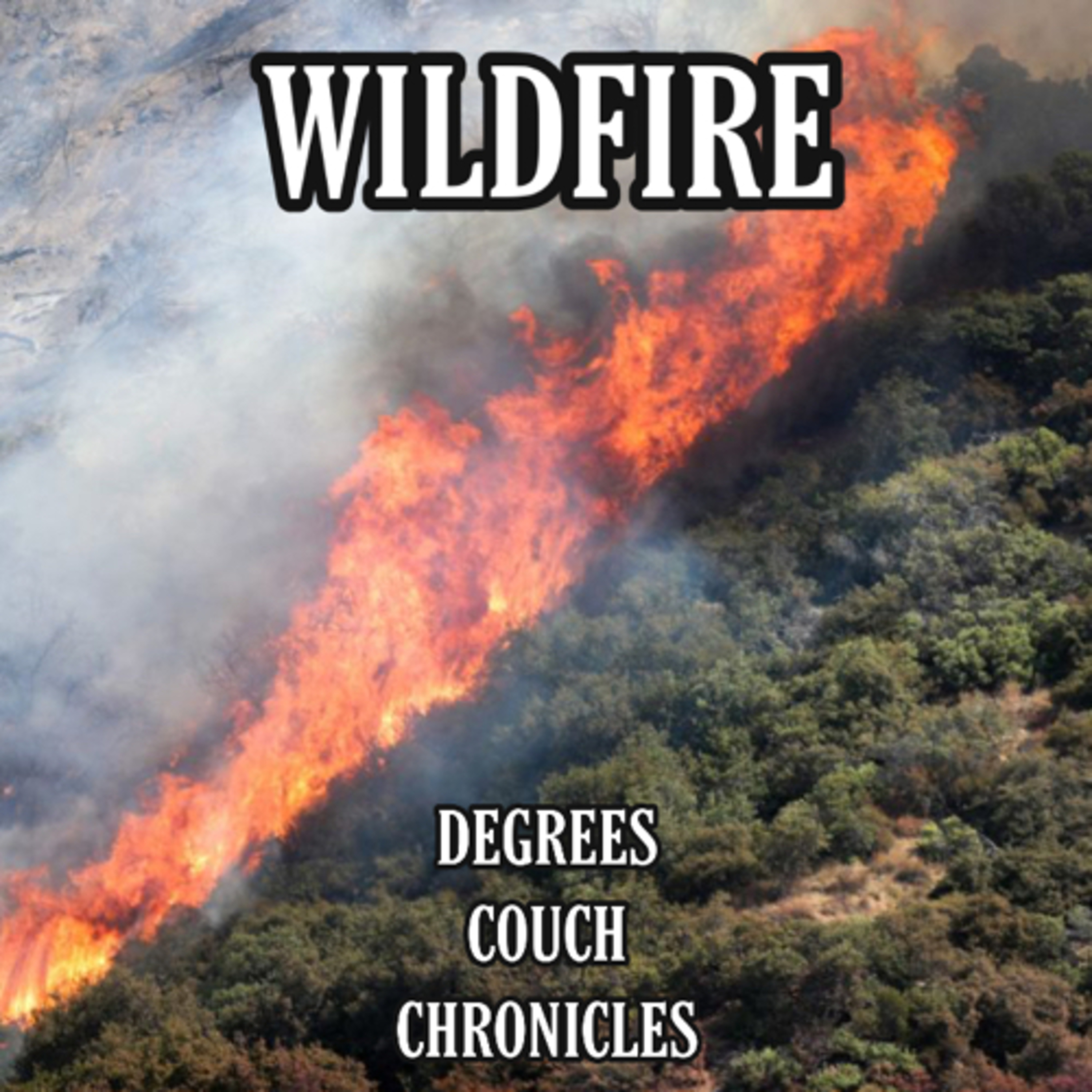 "Wildfire" Episode 22 episode artwork