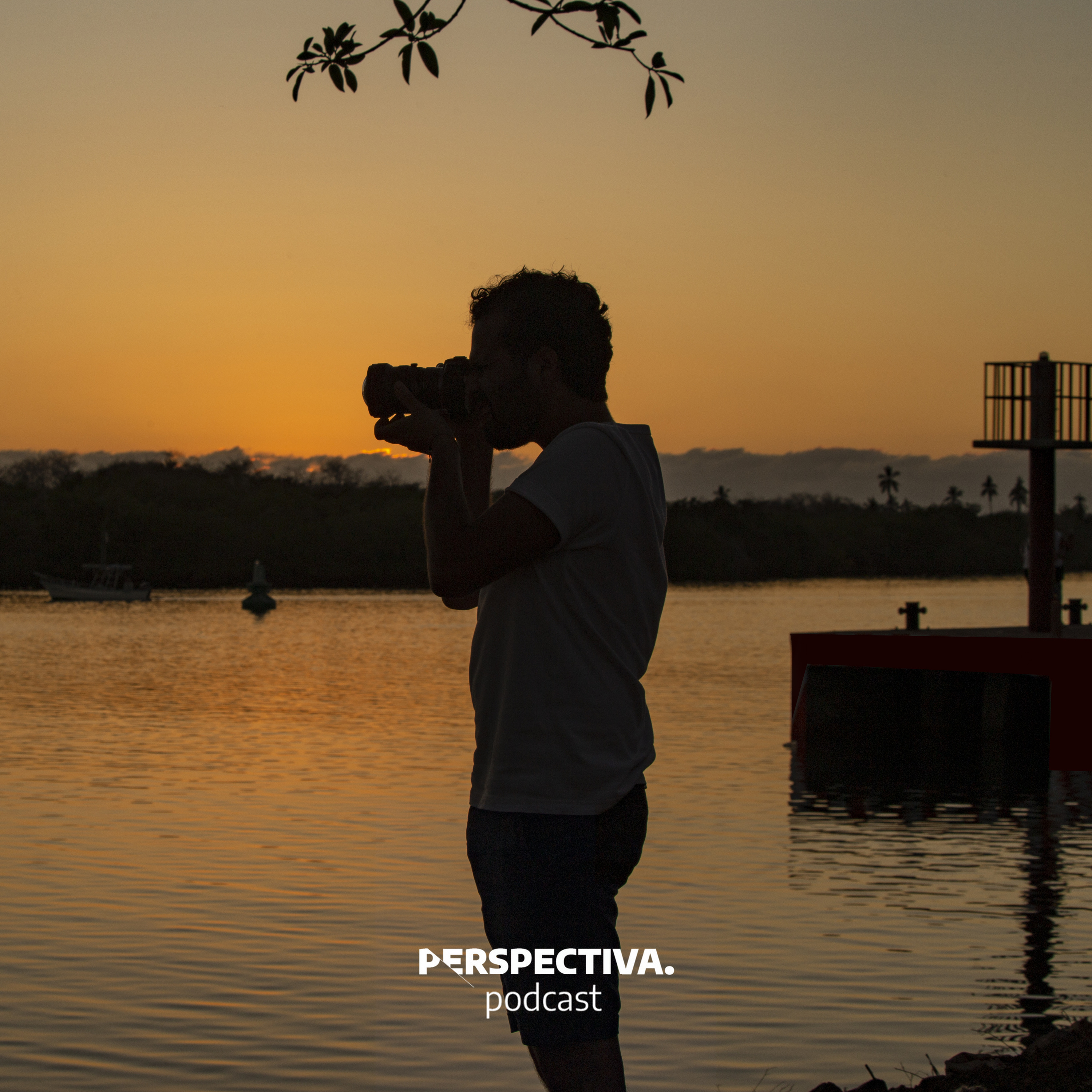 Portada de Perspectiva