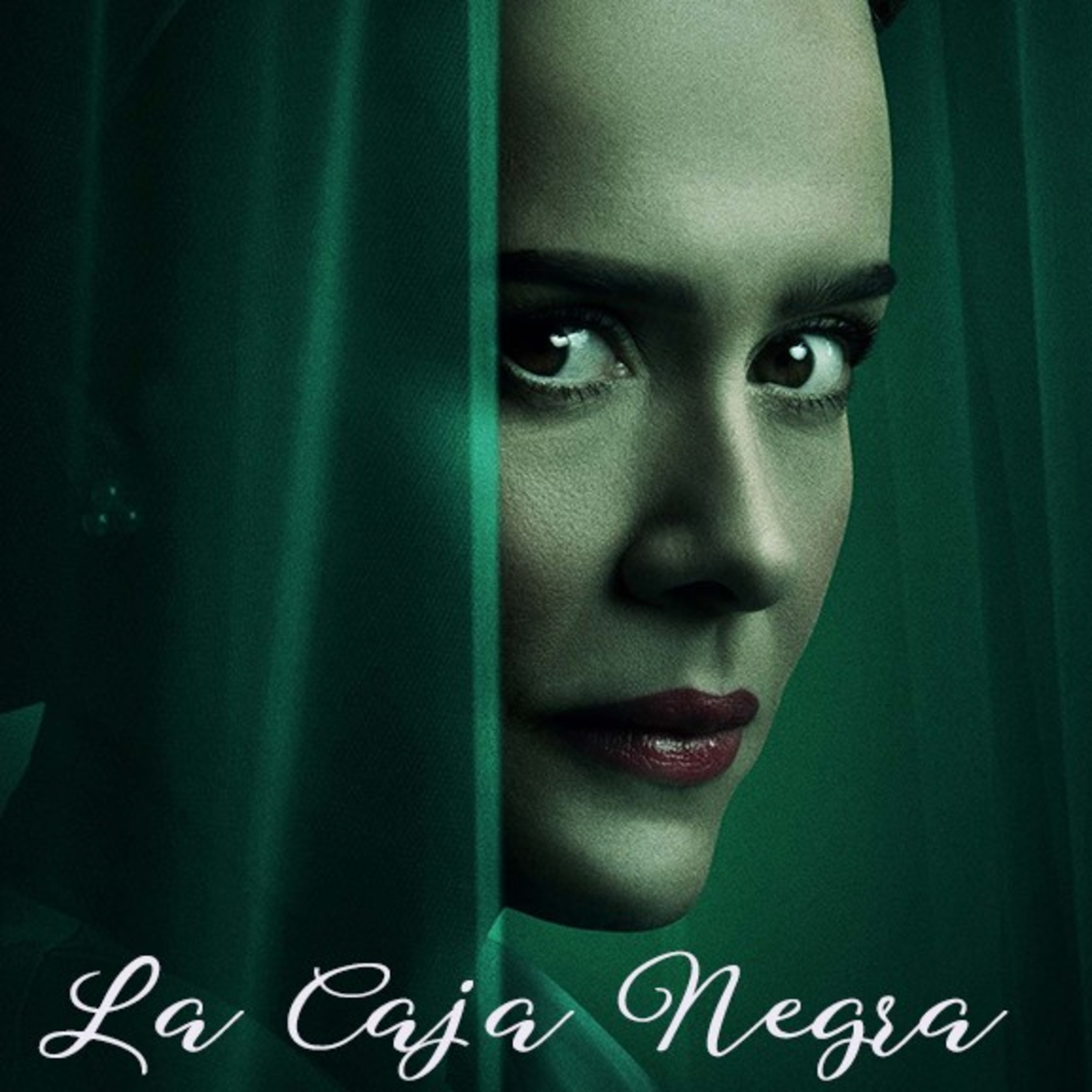 La Caja Negra
