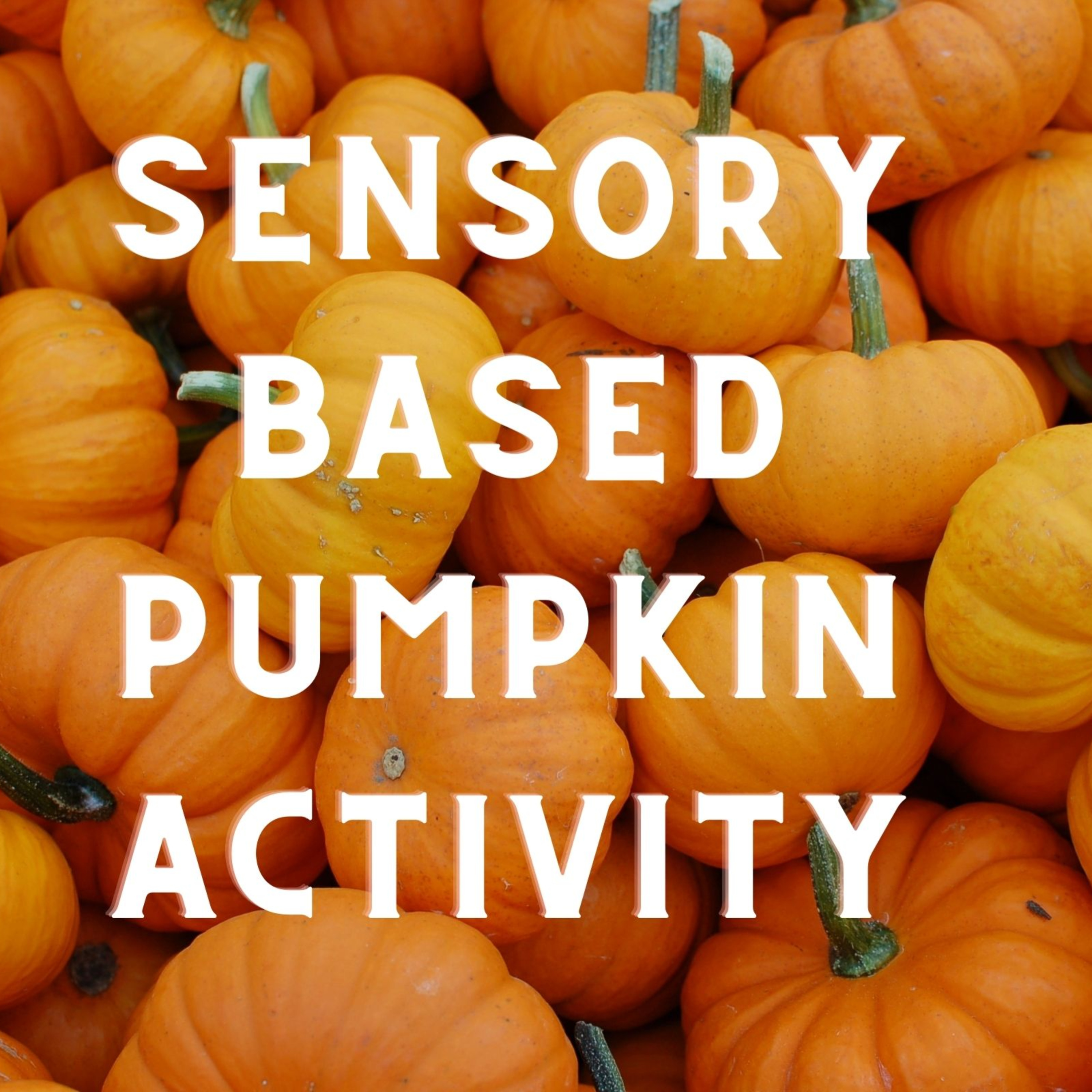 Sensory-Based Fall/Halloween Pumpkin Activity  episode artwork