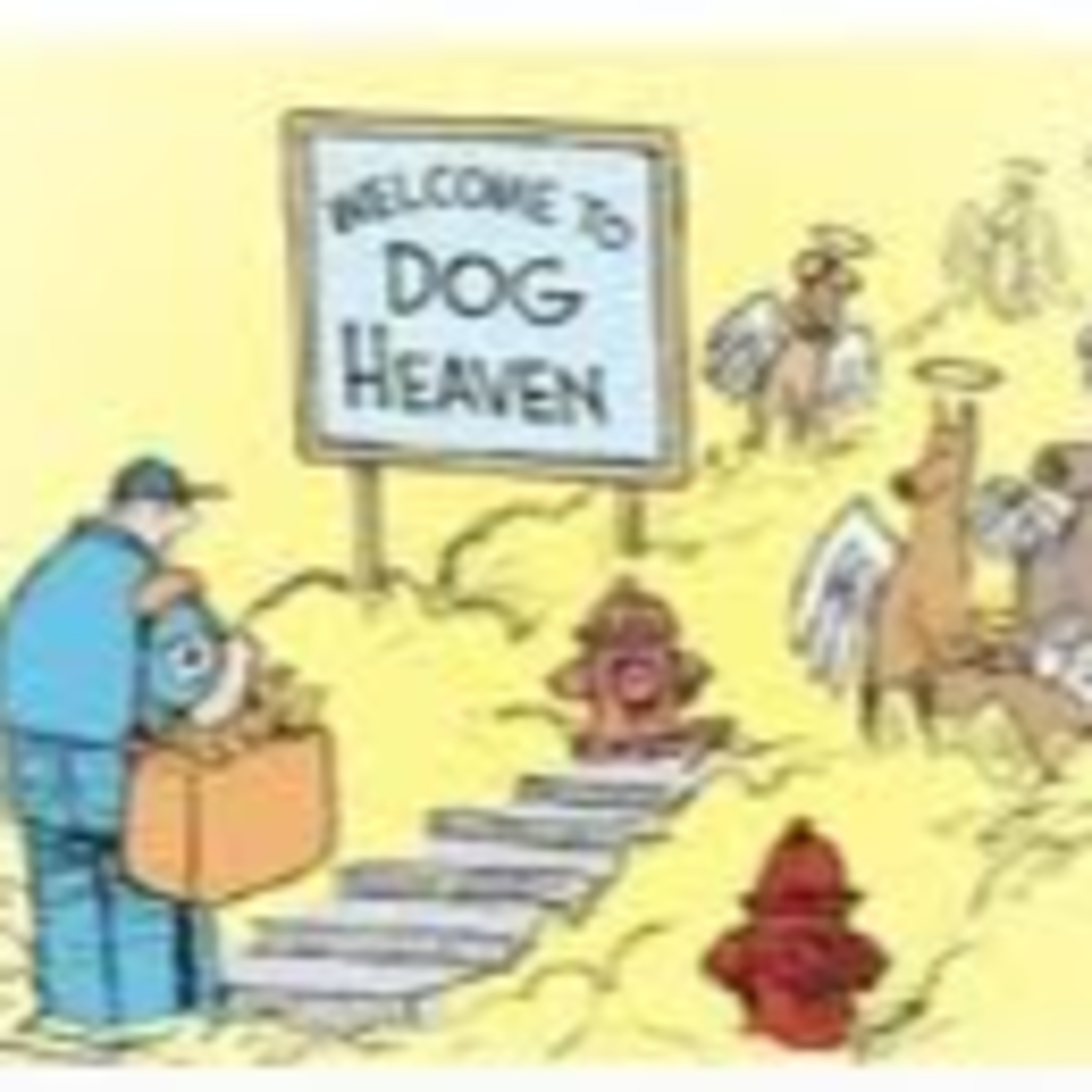Ep 48. All Dogs Go To Heaven episode artwork