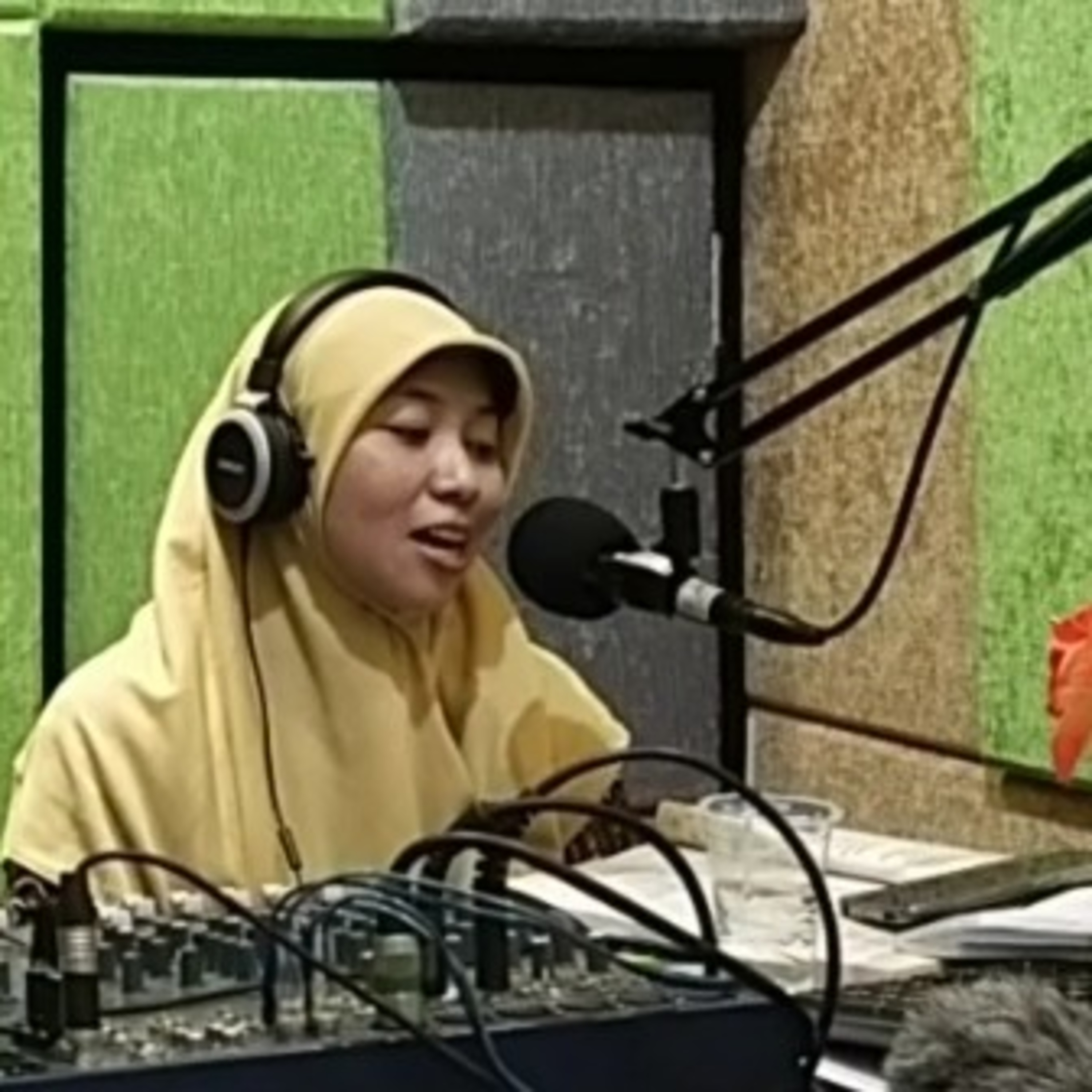 SAPEN Podcast
