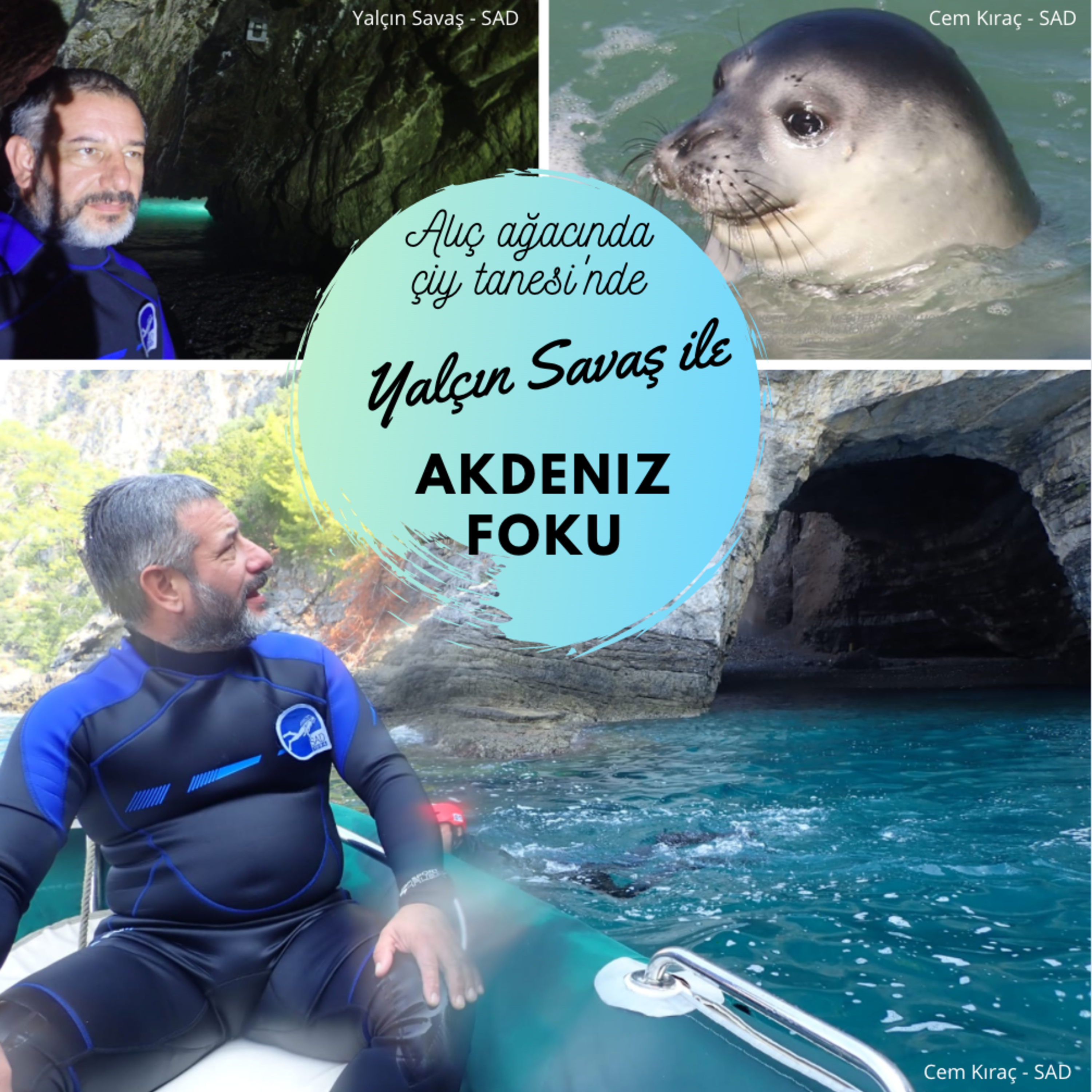 Alıç Ağacı\'nda Çiy Tanesi