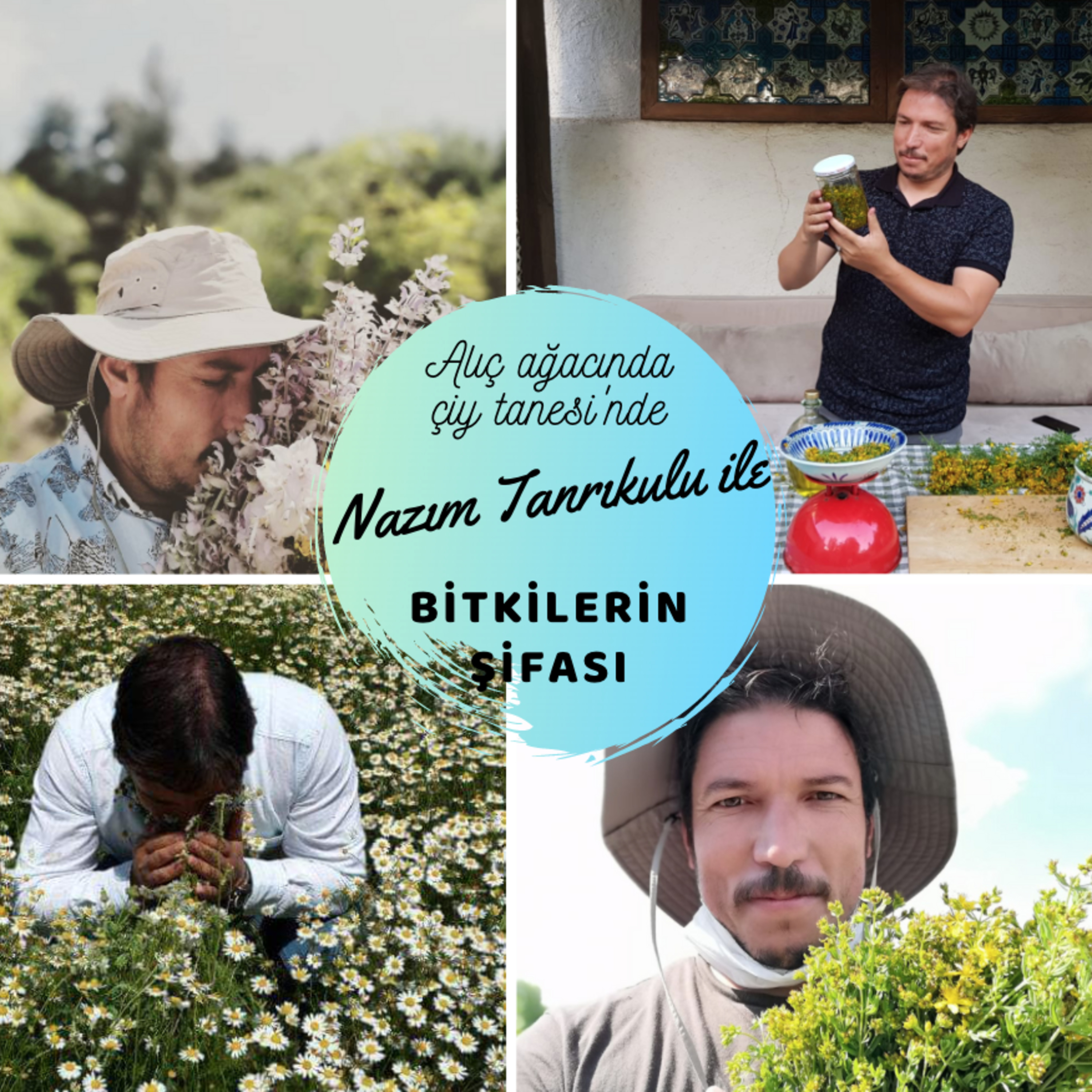 Alıç Ağacı\'nda Çiy Tanesi