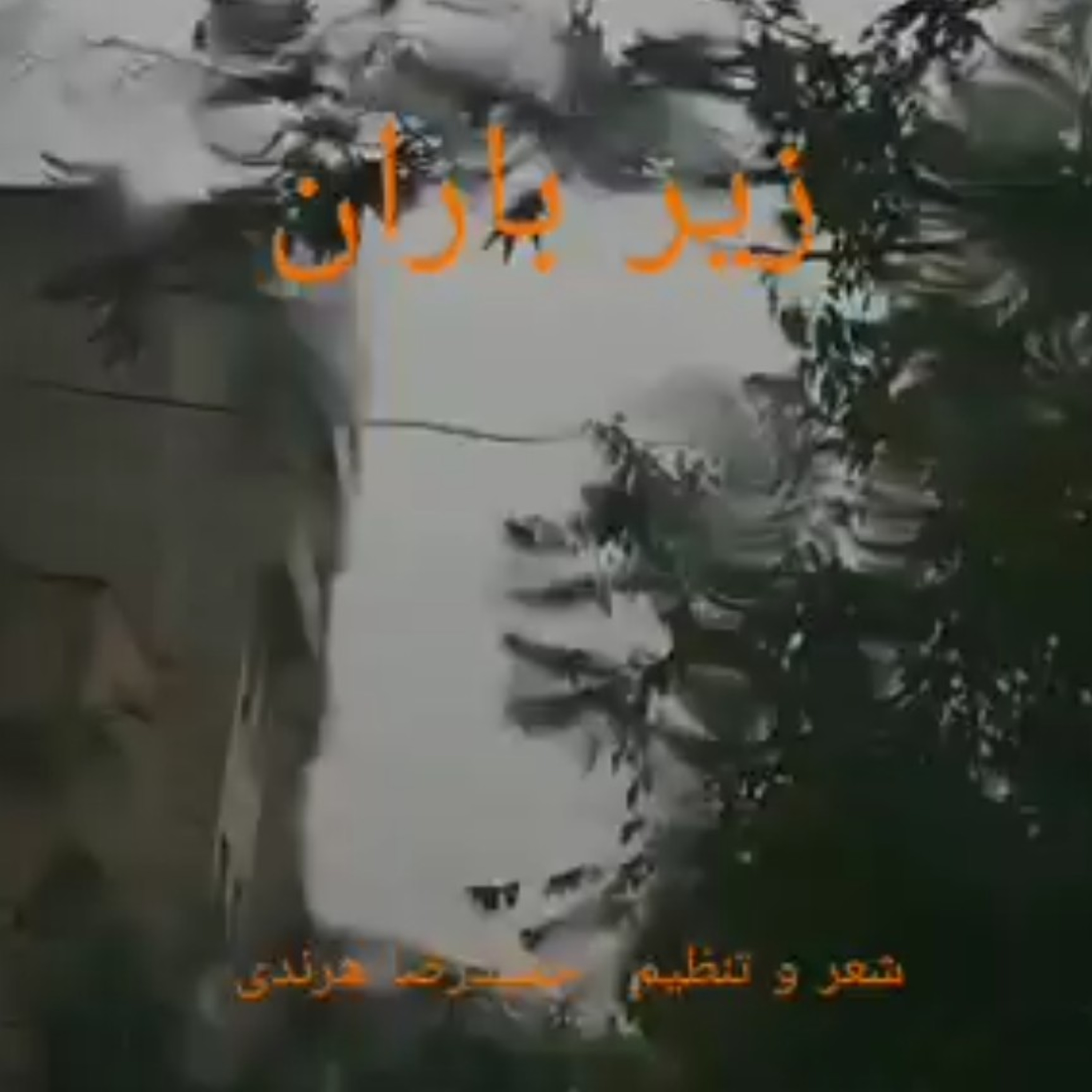 کاور زیر باران