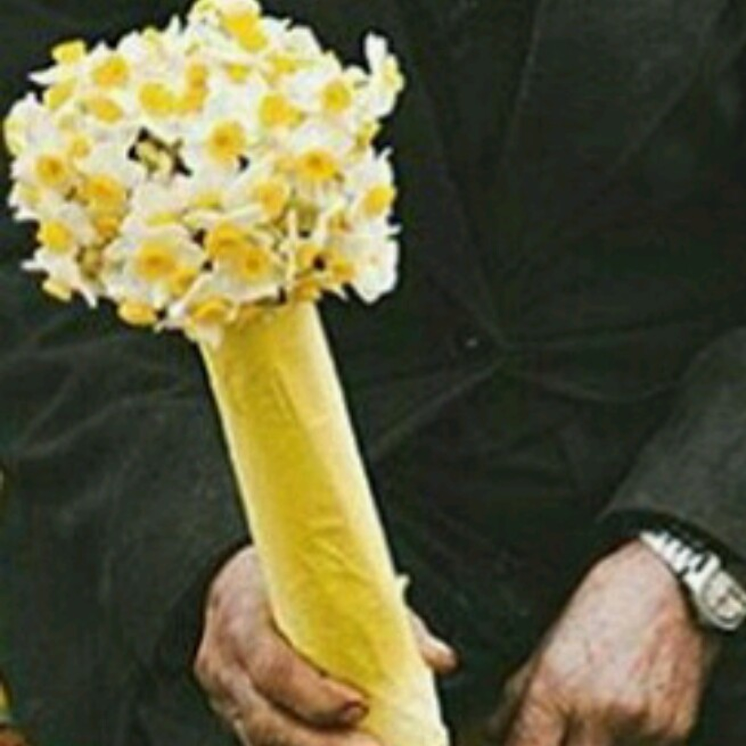 کاور گل نرگس