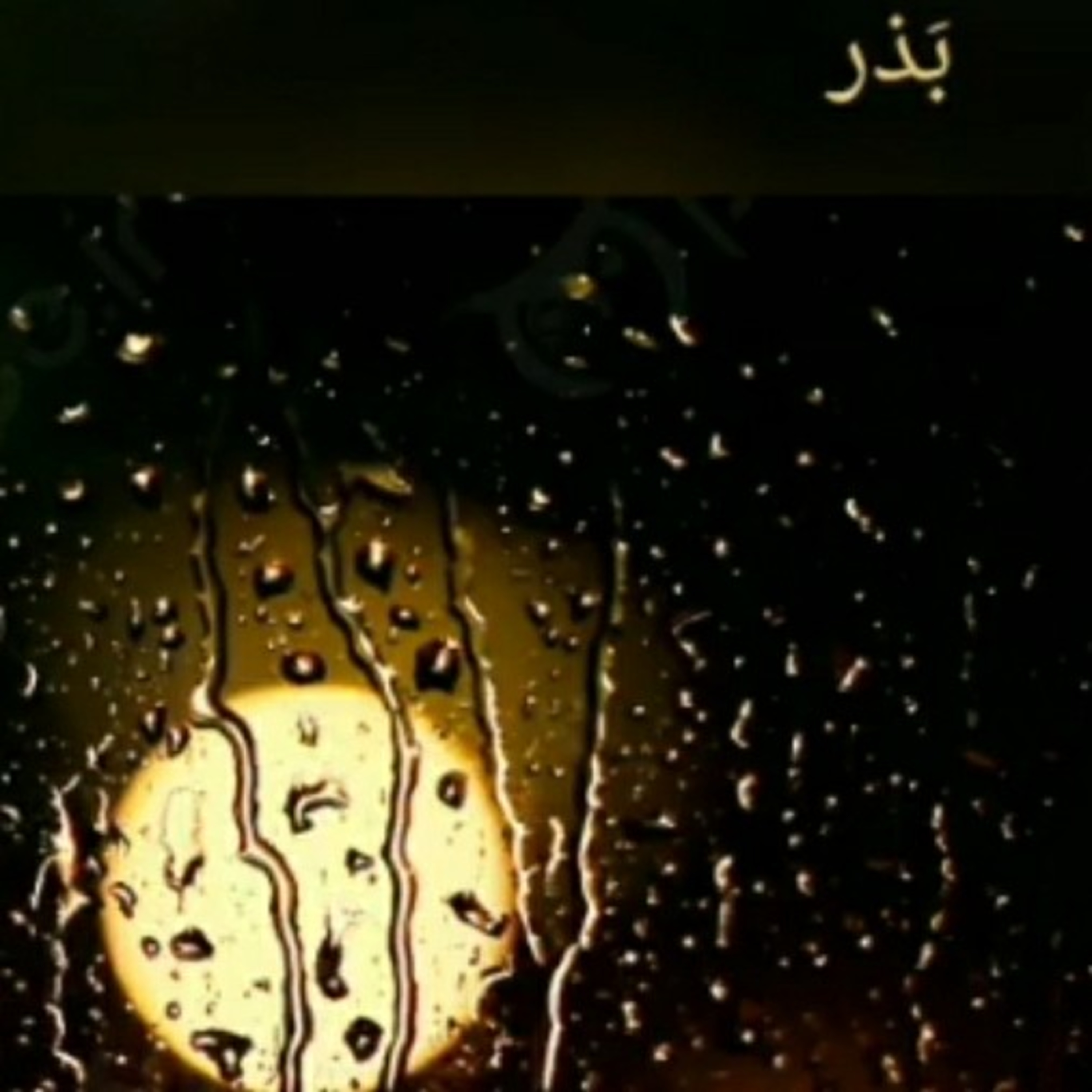کاور بذر