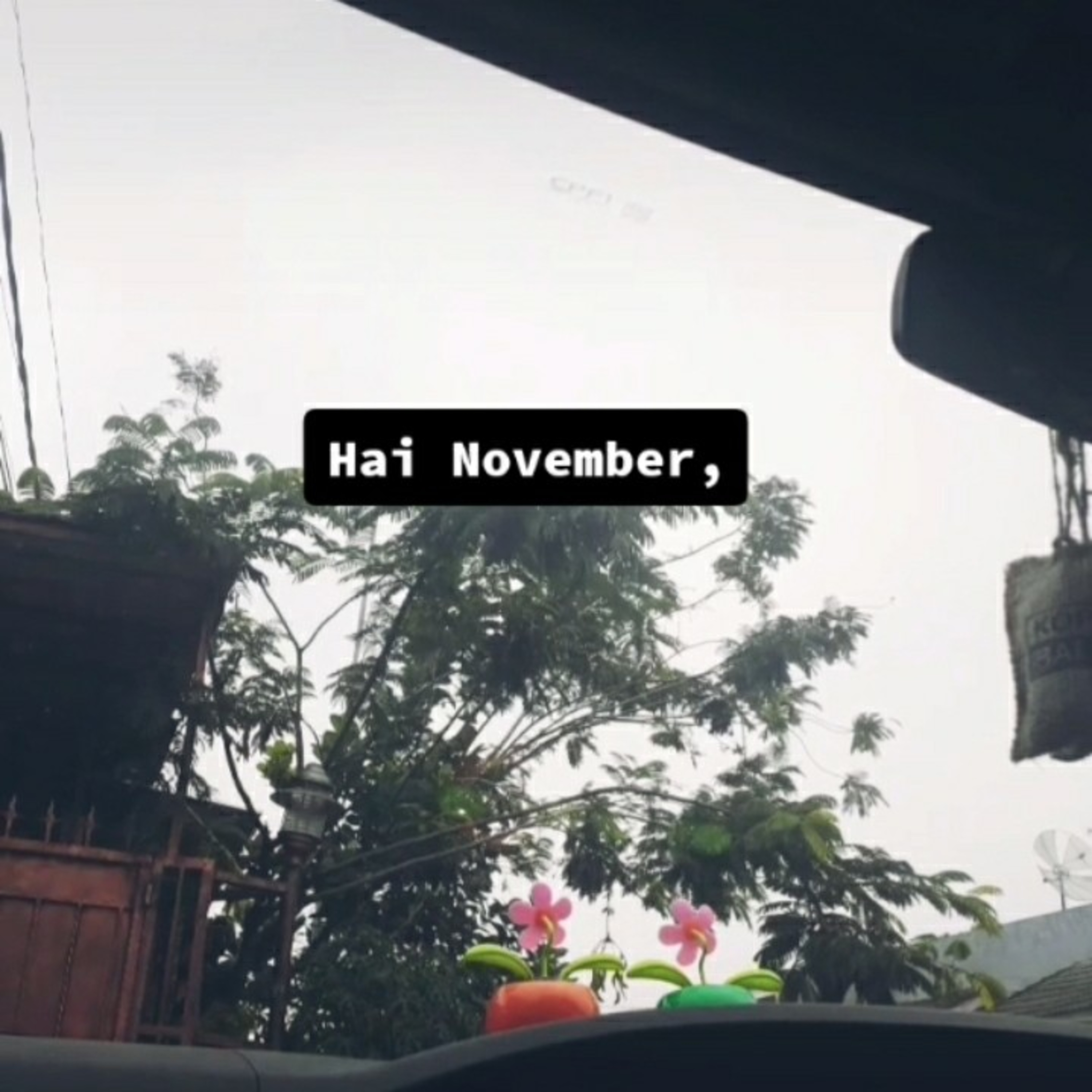 Hai November ! episode artwork
