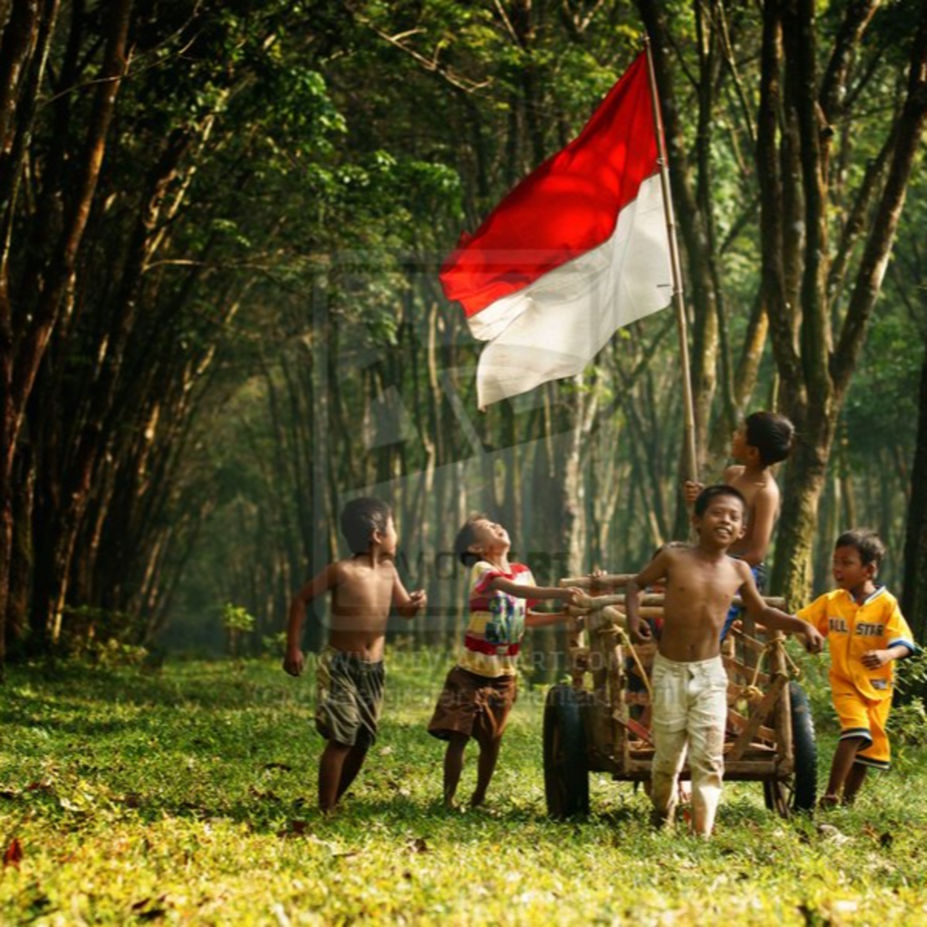 Puisi :Aku Bingung Dengan Negara episode artwork
