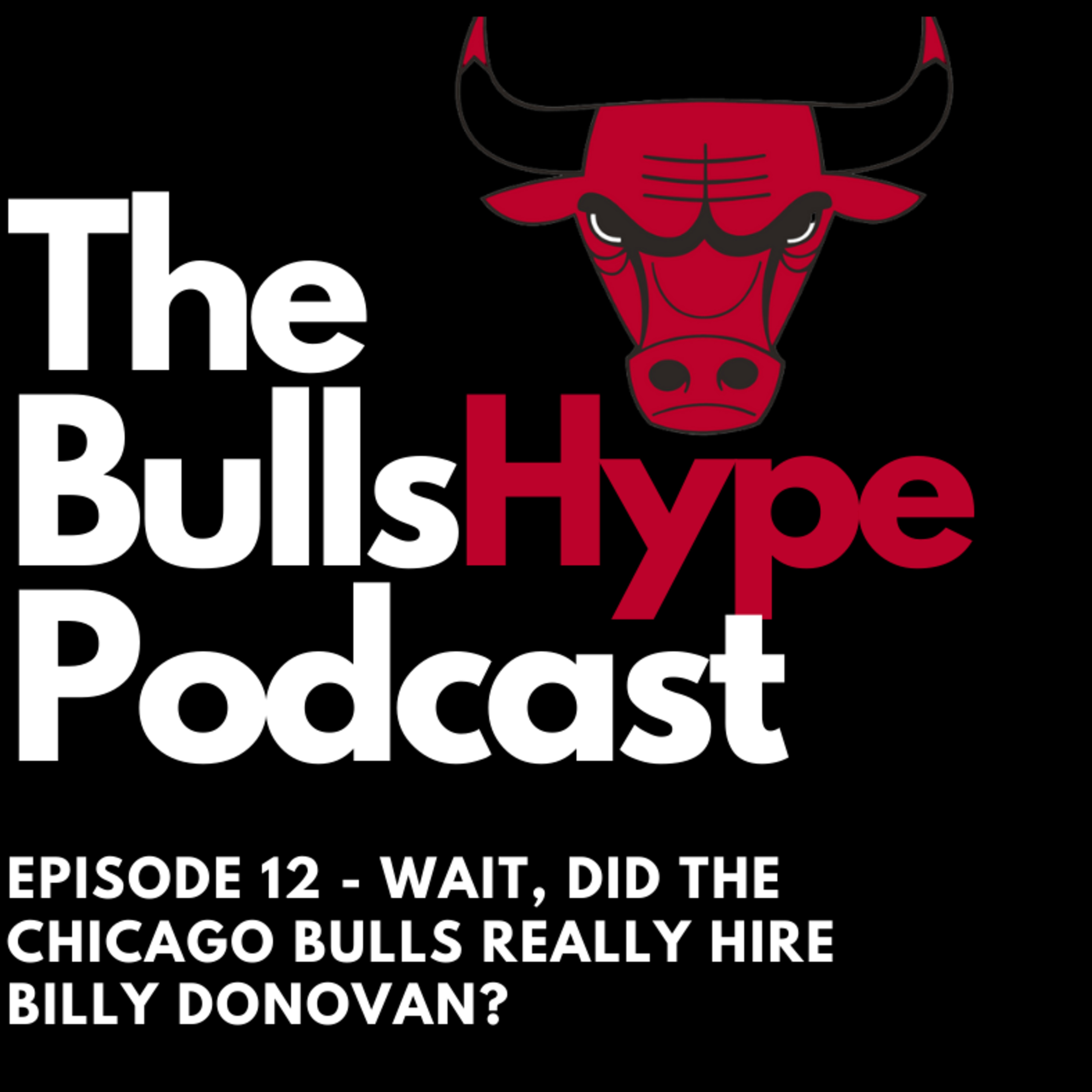 The BullsHype Podcast - A Chicago Bulls Podcast