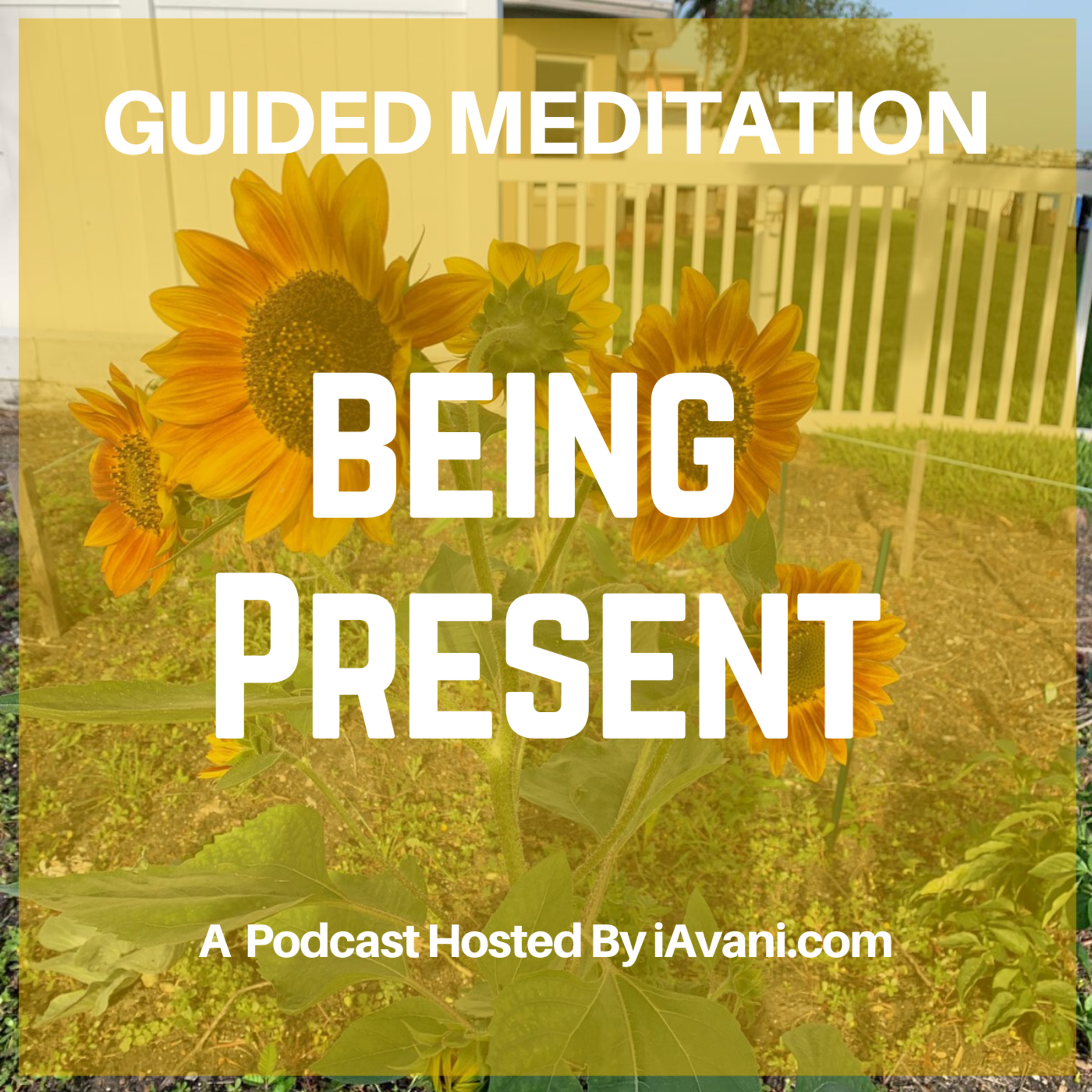 Being Present | Avani’s Guided Meditation episode artwork