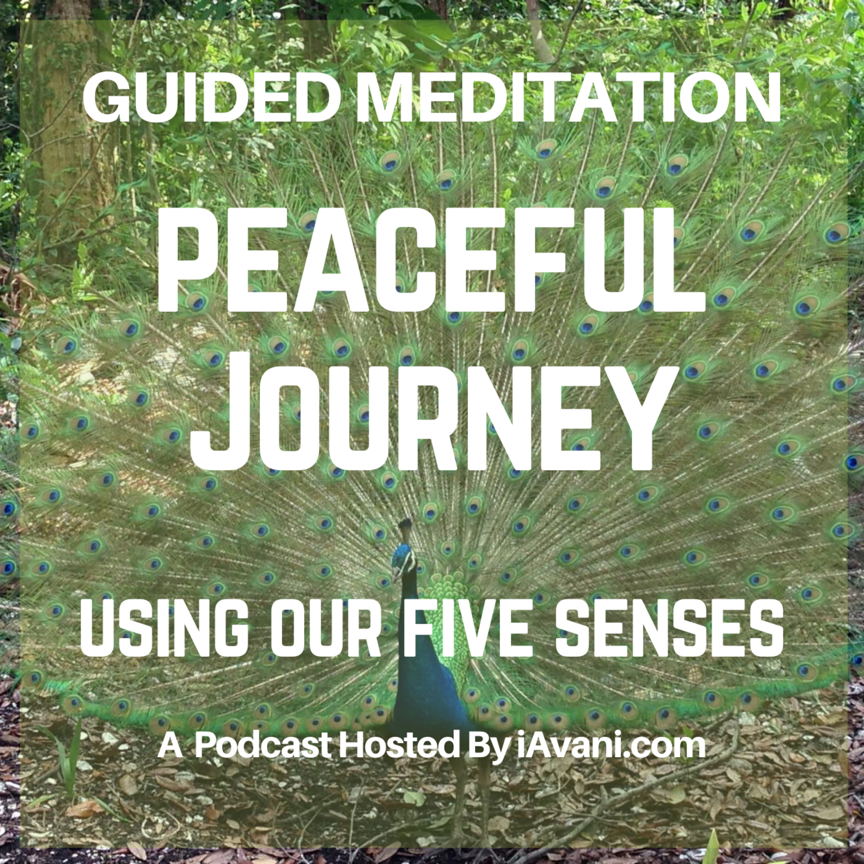 Peaceful journey using our five senses | Avani’s Guided Meditation episode artwork