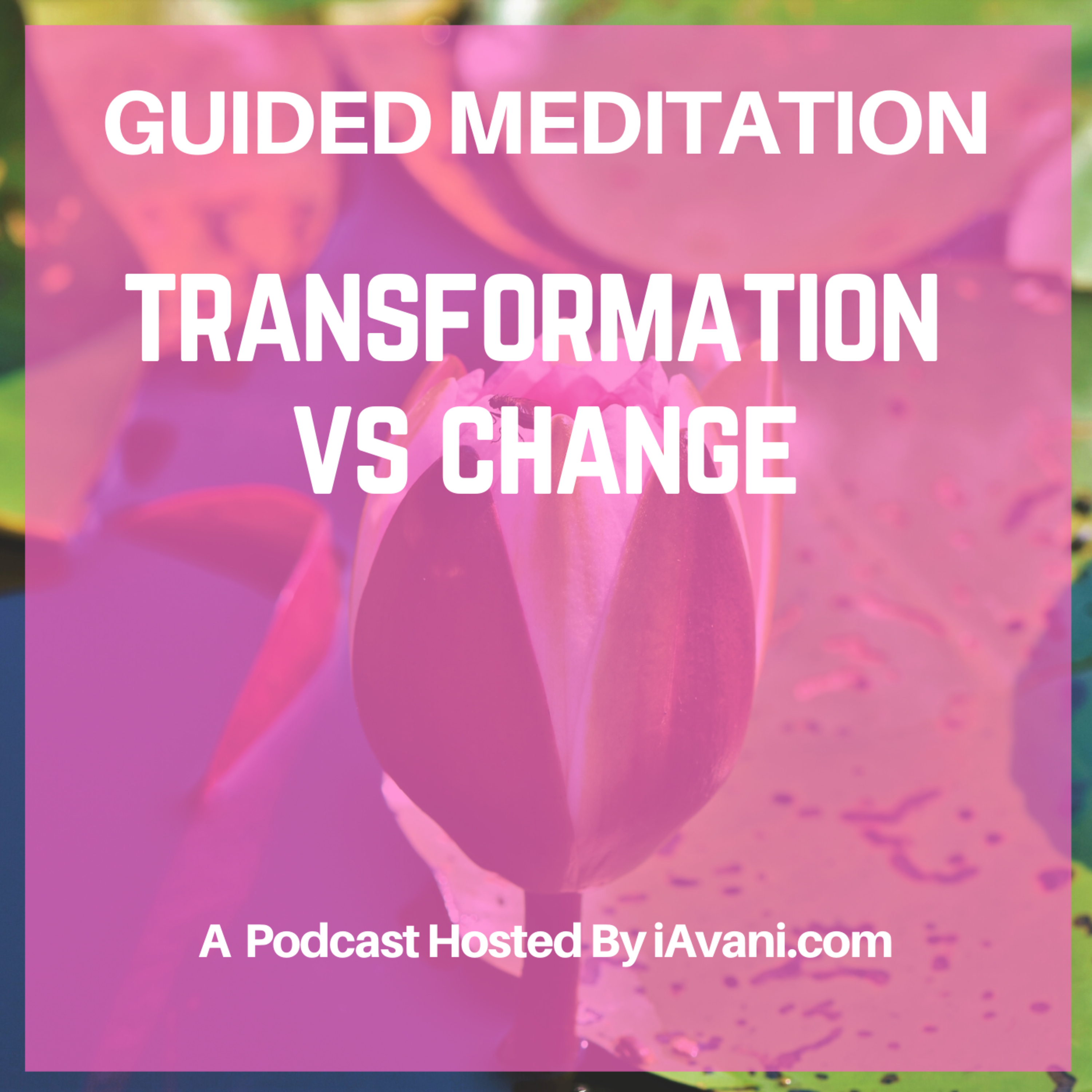 Transformation Vs Change | Avani’s Guided Meditation episode artwork