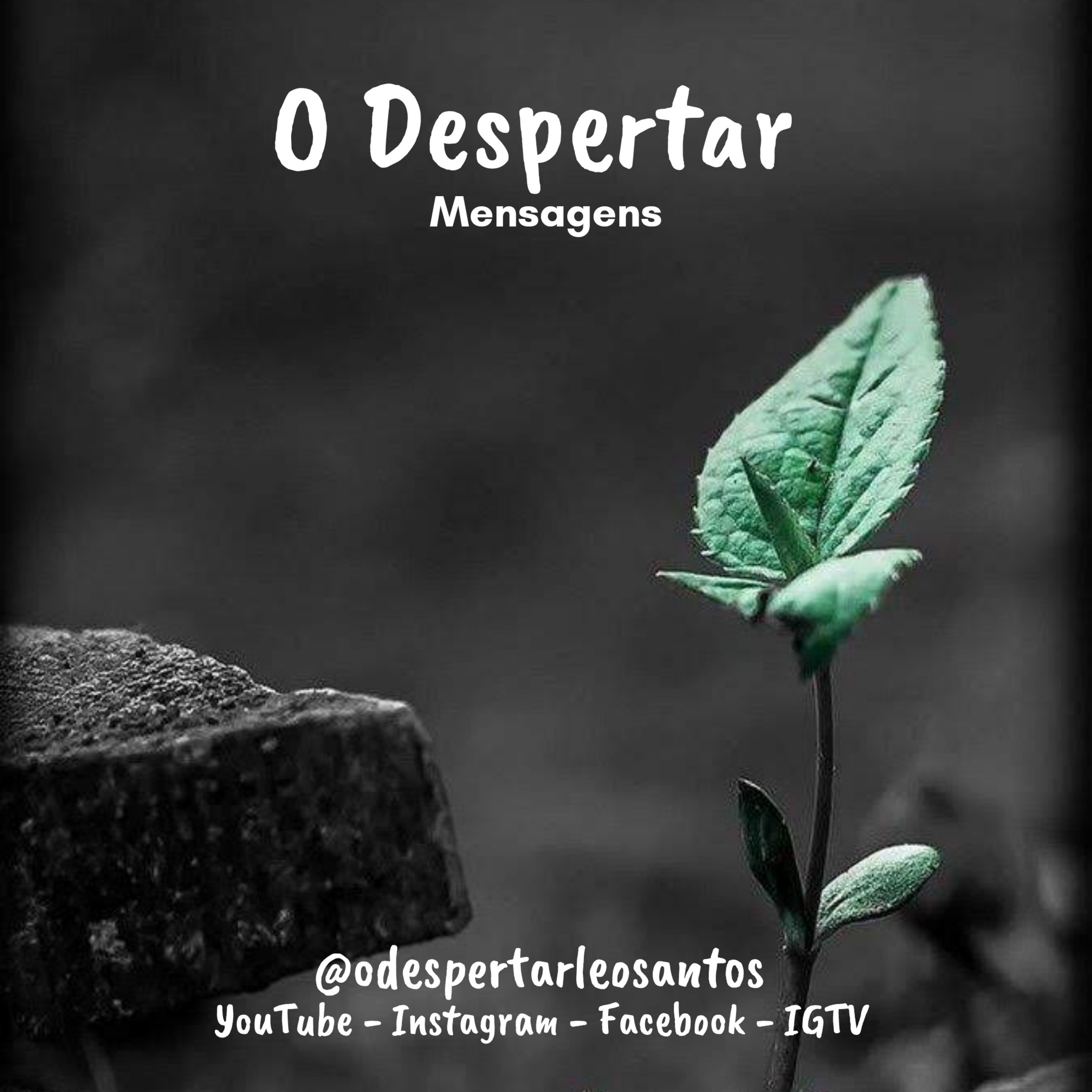 Shaman Da Lua - mensagens