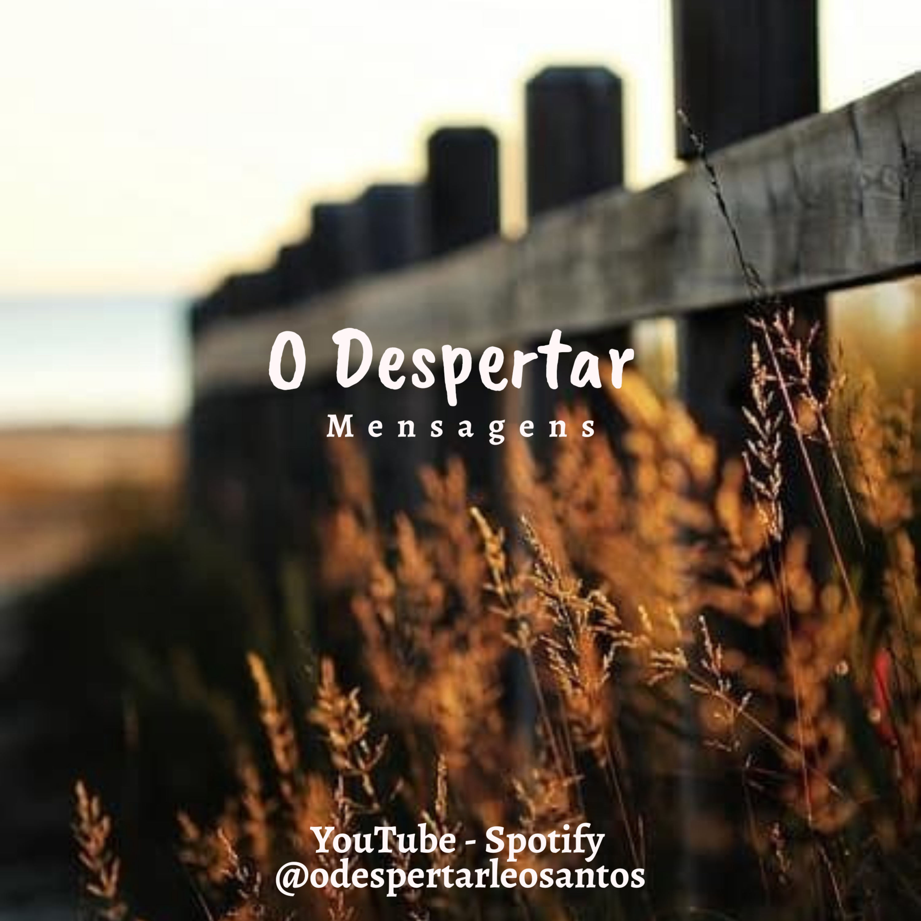 Shaman Da Lua - mensagens