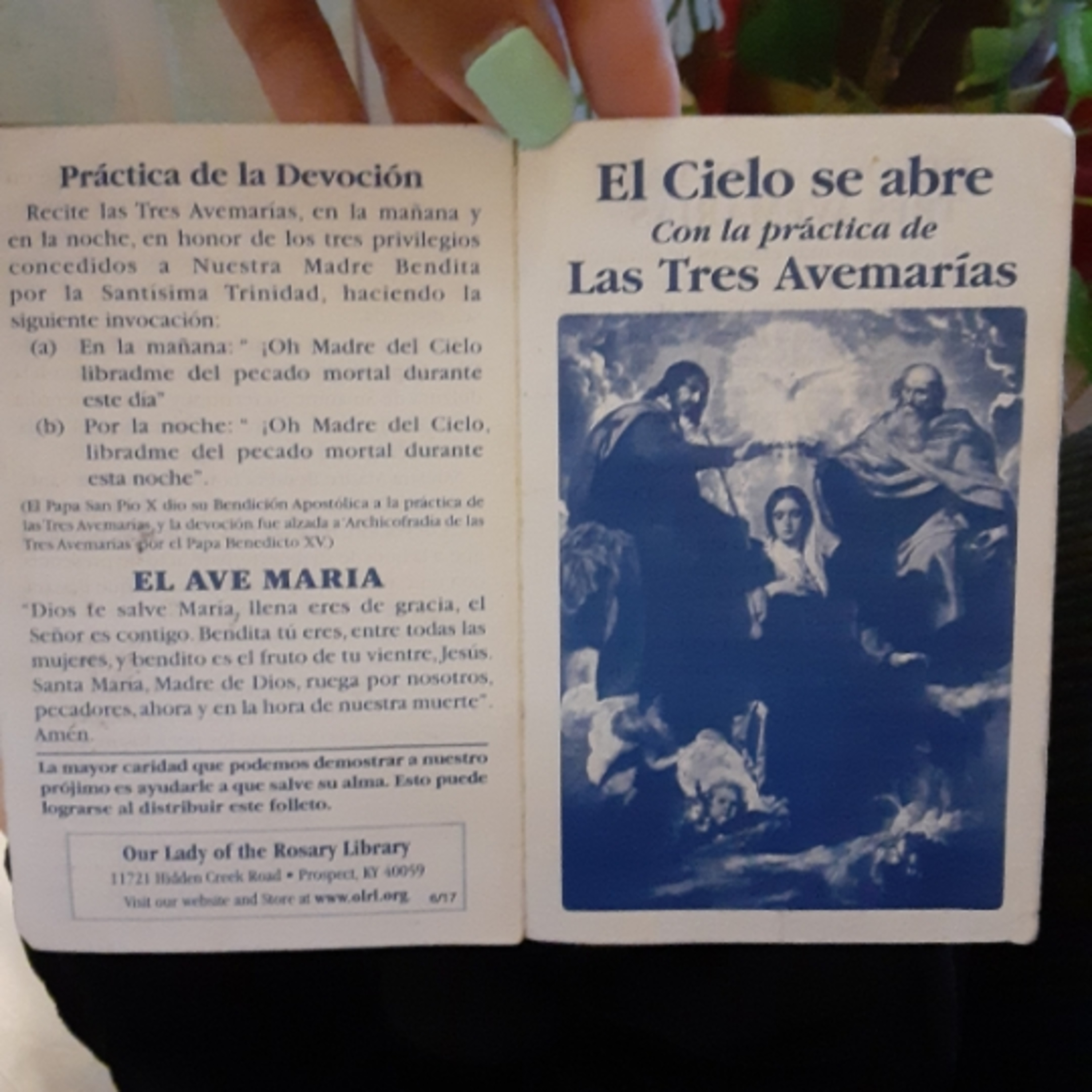 El conocimiento hace la diferencia.Knowledge makes the difference.