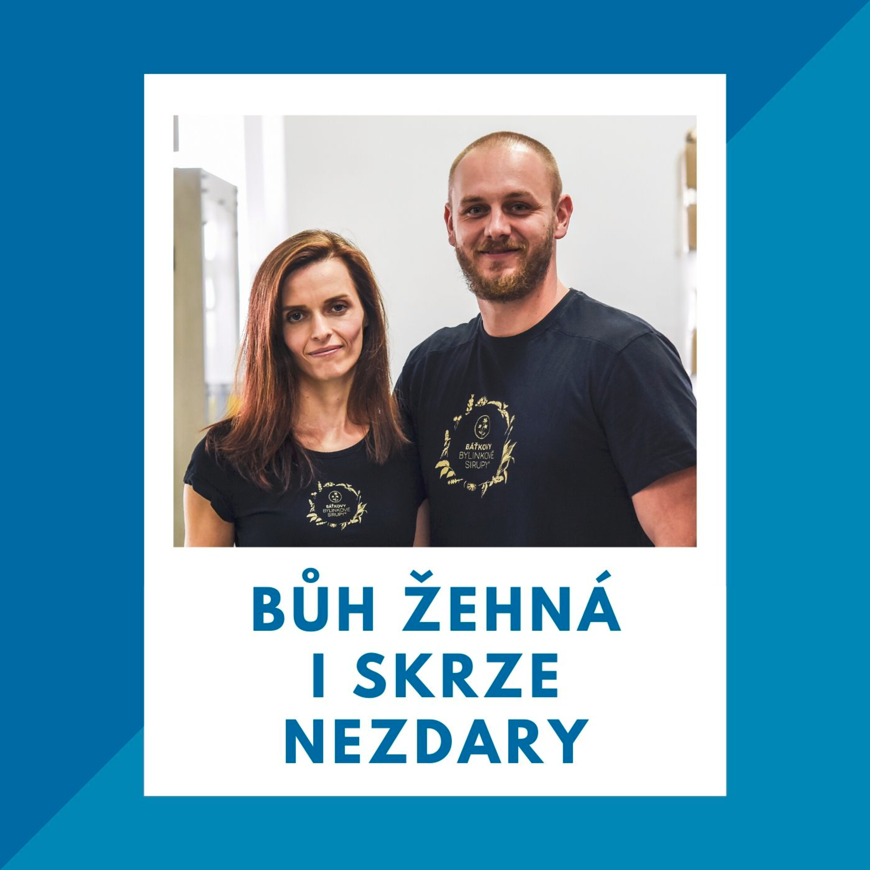 Hodnoty v podnikání