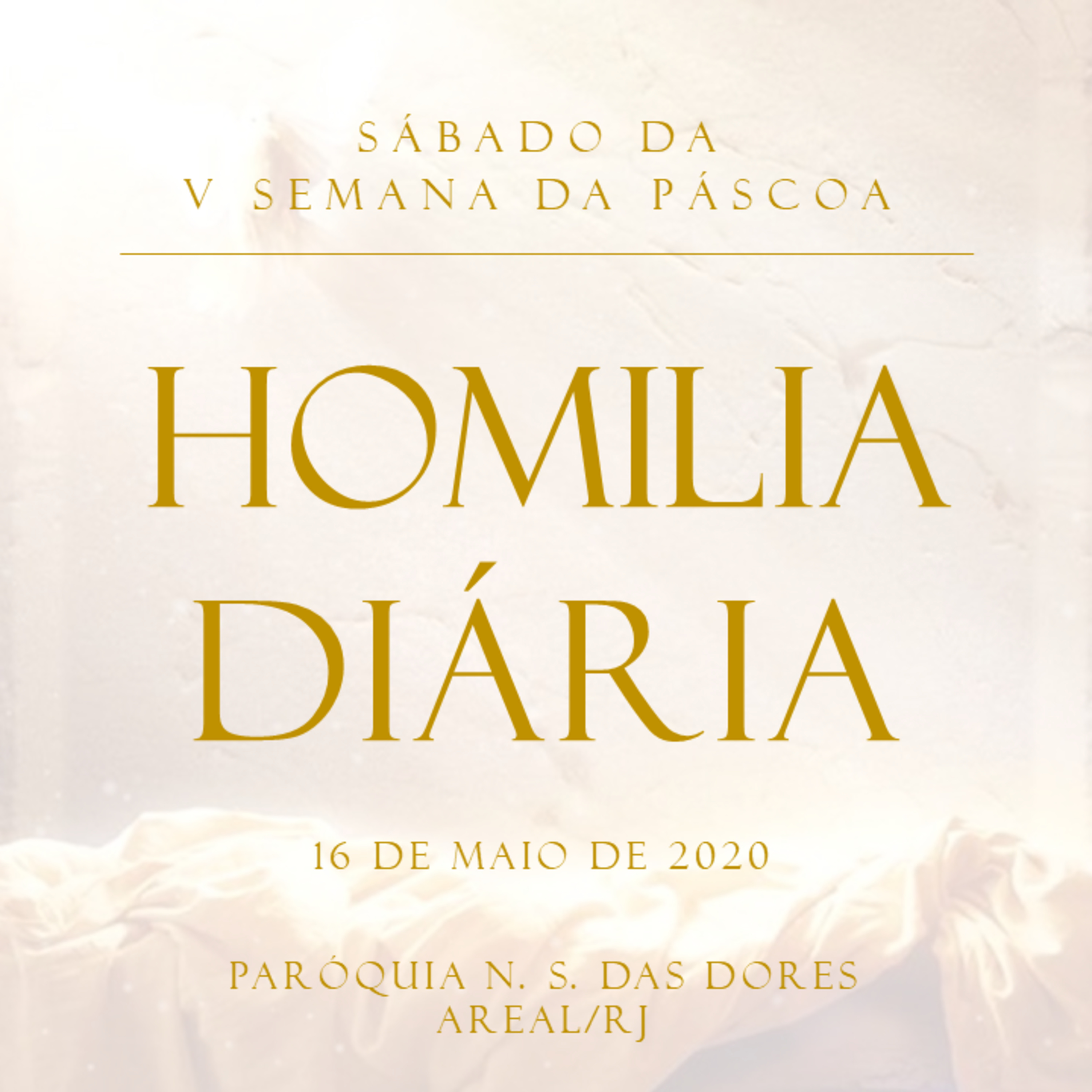 Homilia Diária - Paróquia Nossa Senhora das Dores - Areal/RJ
