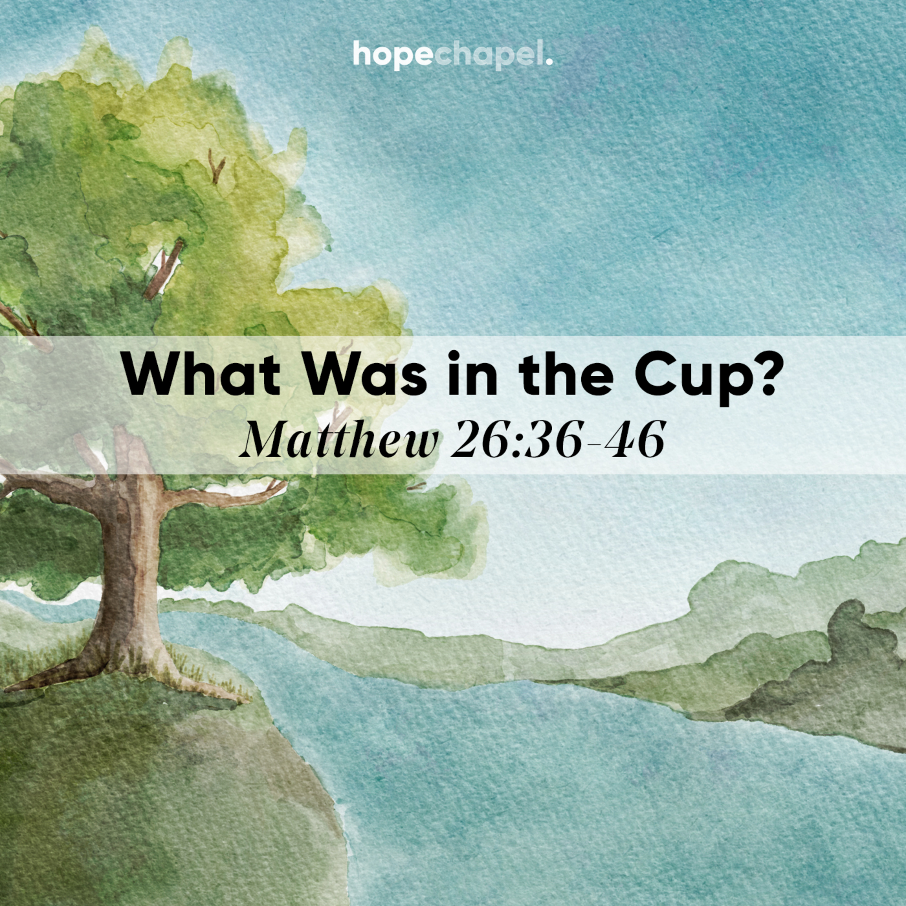 What Was in the Cup?