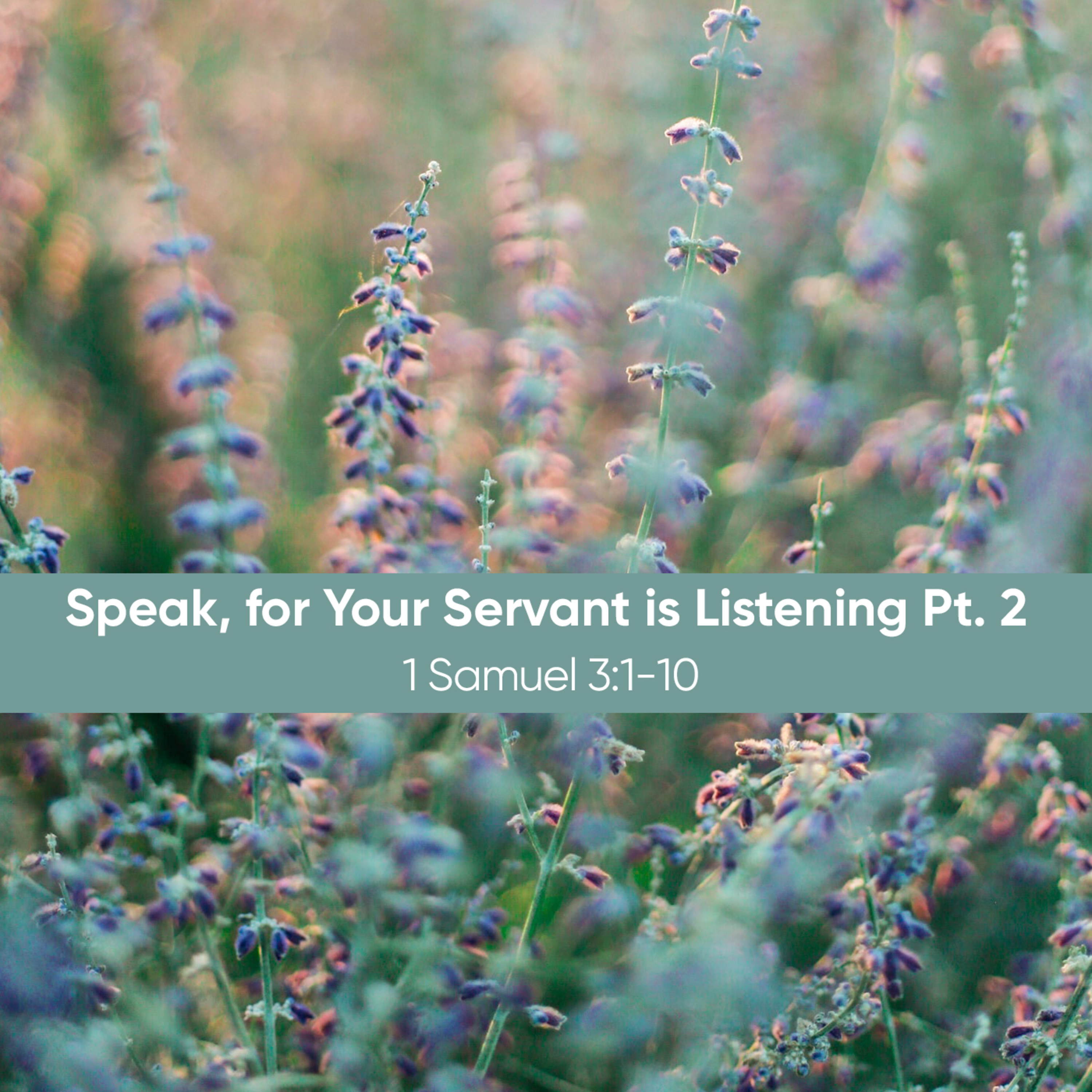 "Speak for Your Servant is Listening", Part 2 episode artwork