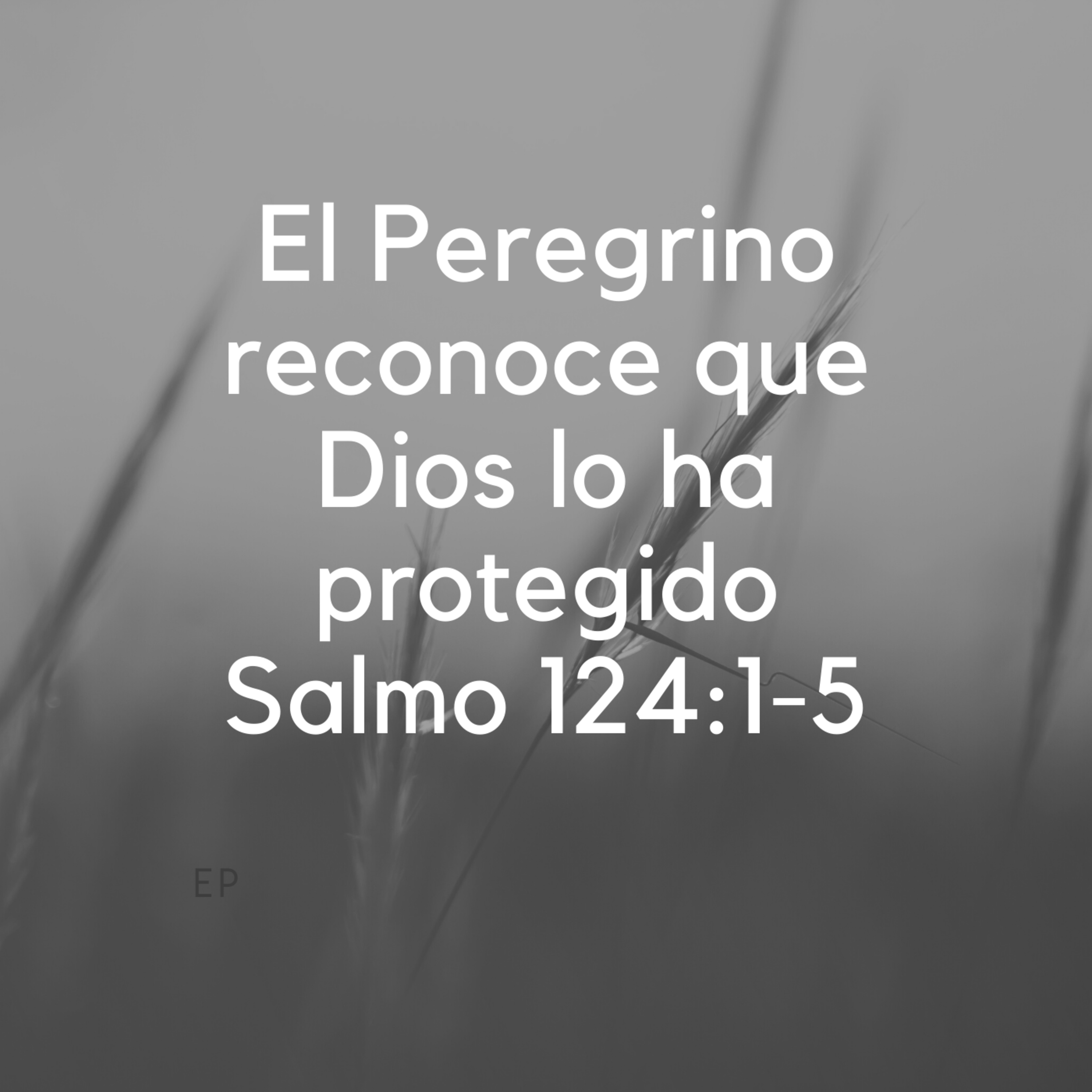 Iglesia Los Peregrinos SLP
