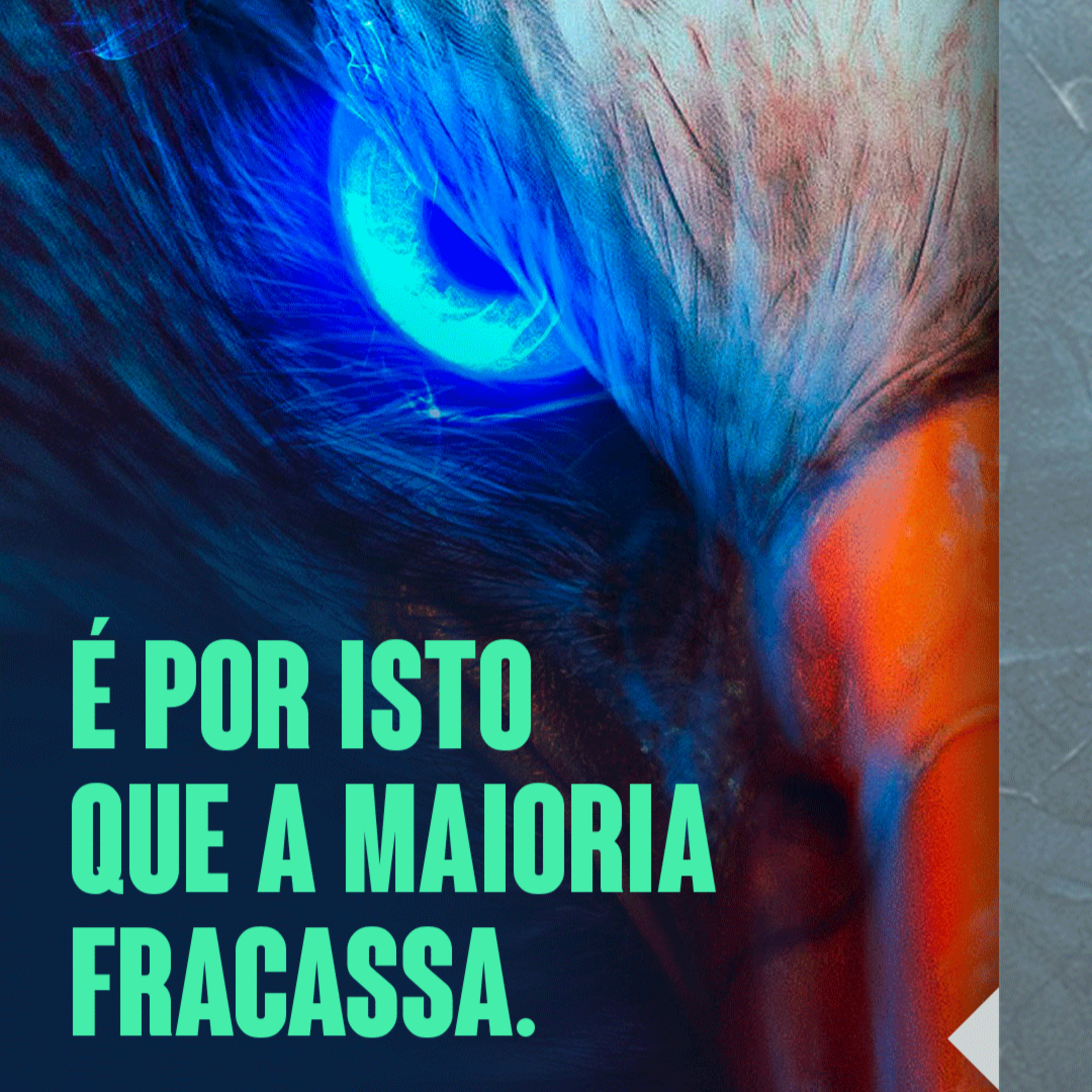 Você fracassa por isso!