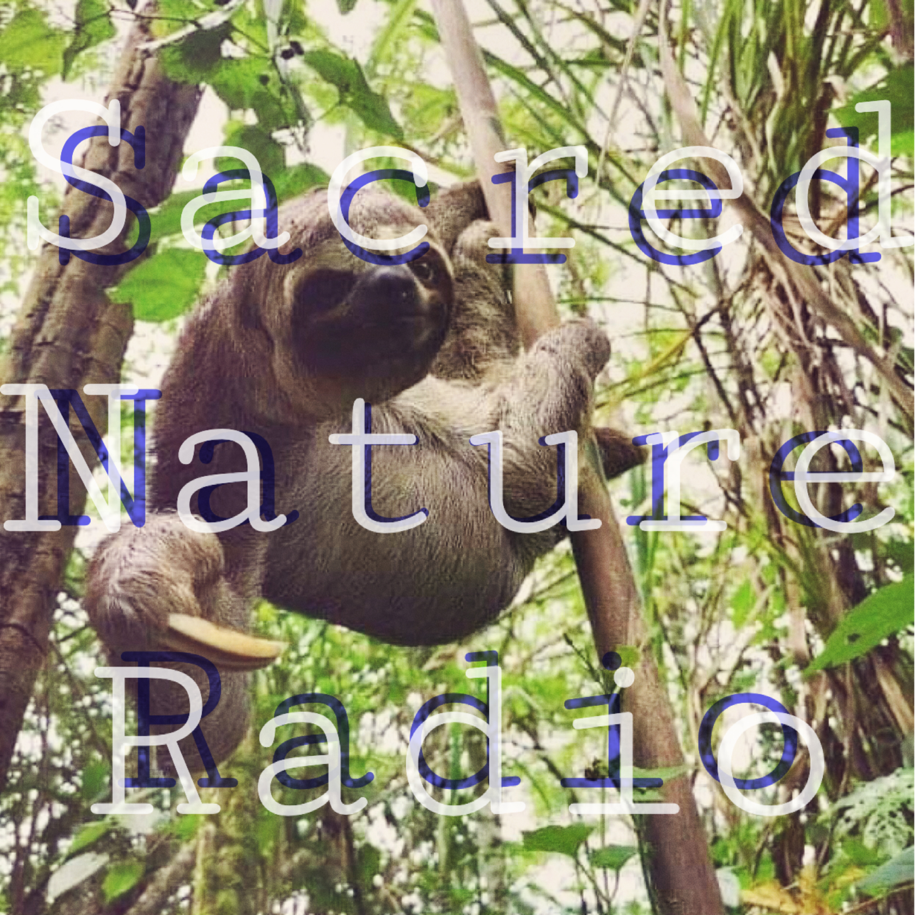 Sacred Nature Radio