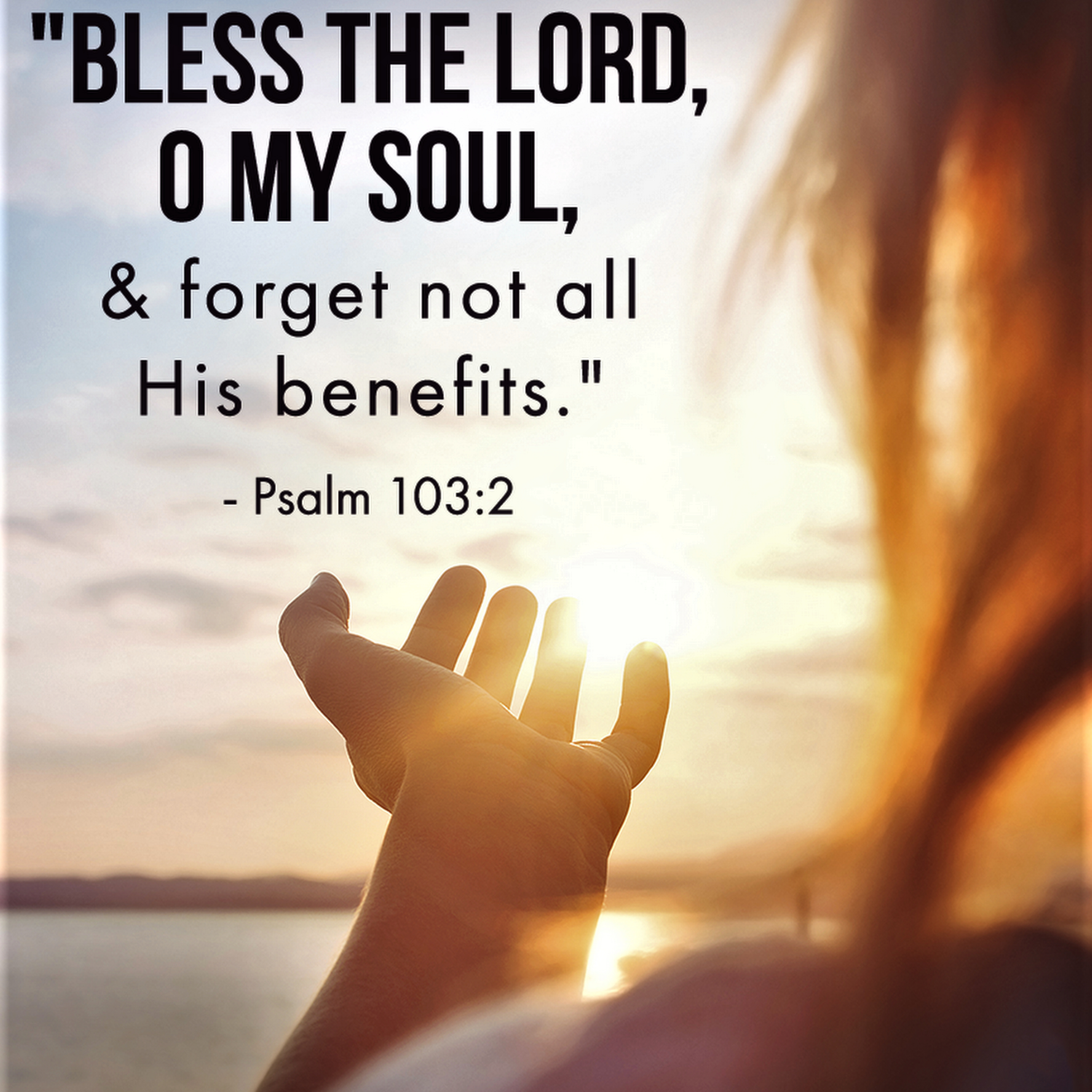 the 8lu8ok - hosted by ur8oy8lu