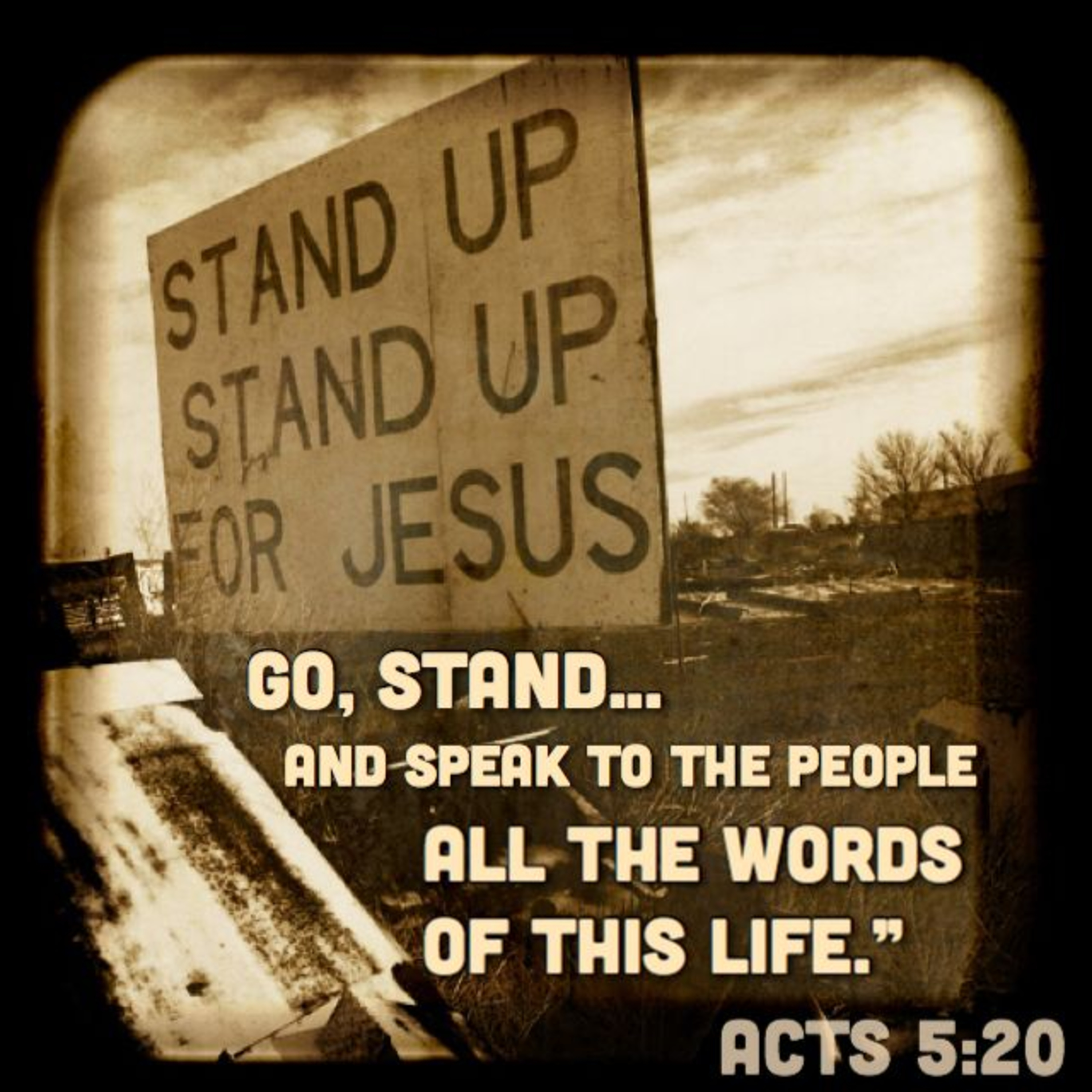 the 8lu8ok - hosted by ur8oy8lu