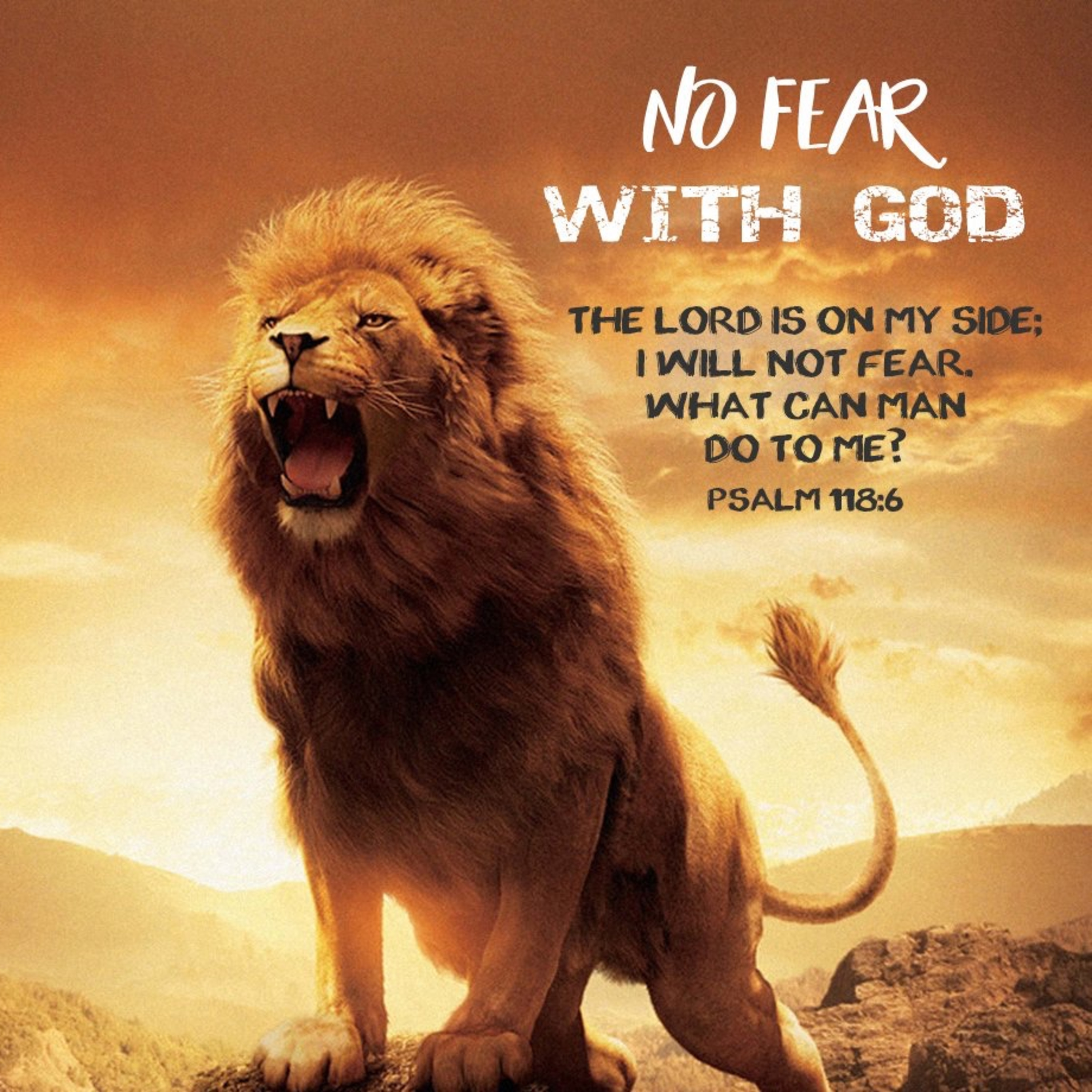 the 8lu8ok - hosted by ur8oy8lu