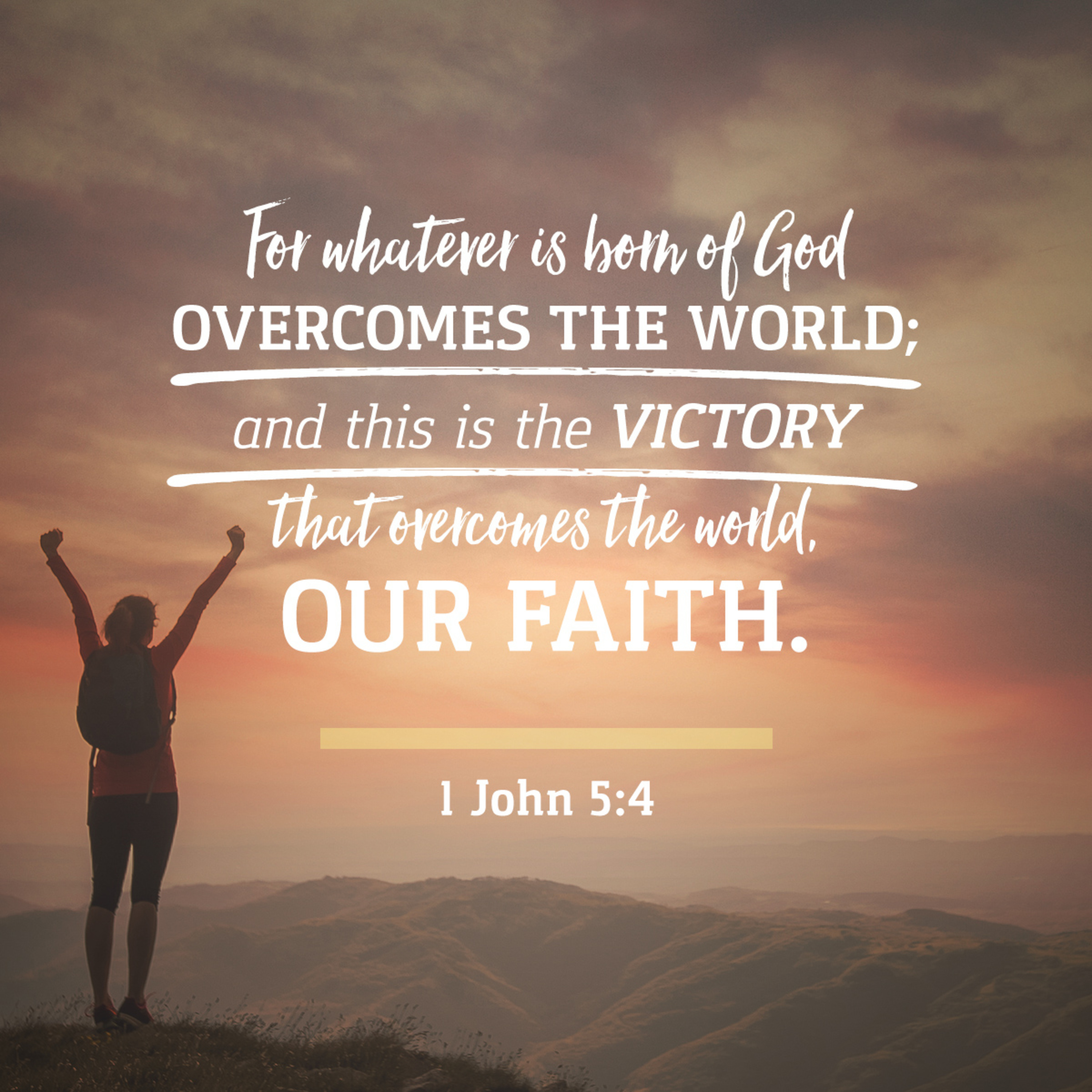 the 8lu8ok - hosted by ur8oy8lu